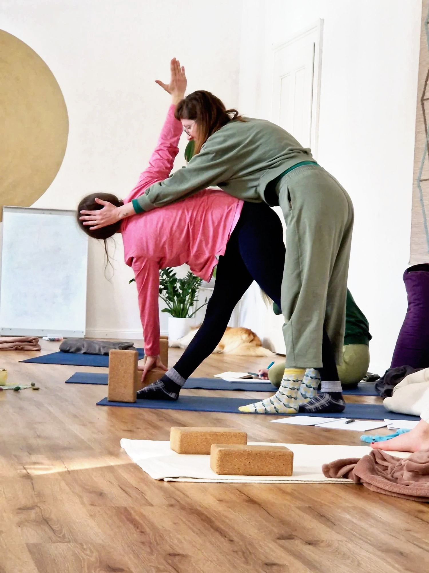 yoga teacher training / usposabljanje za učitelje joge