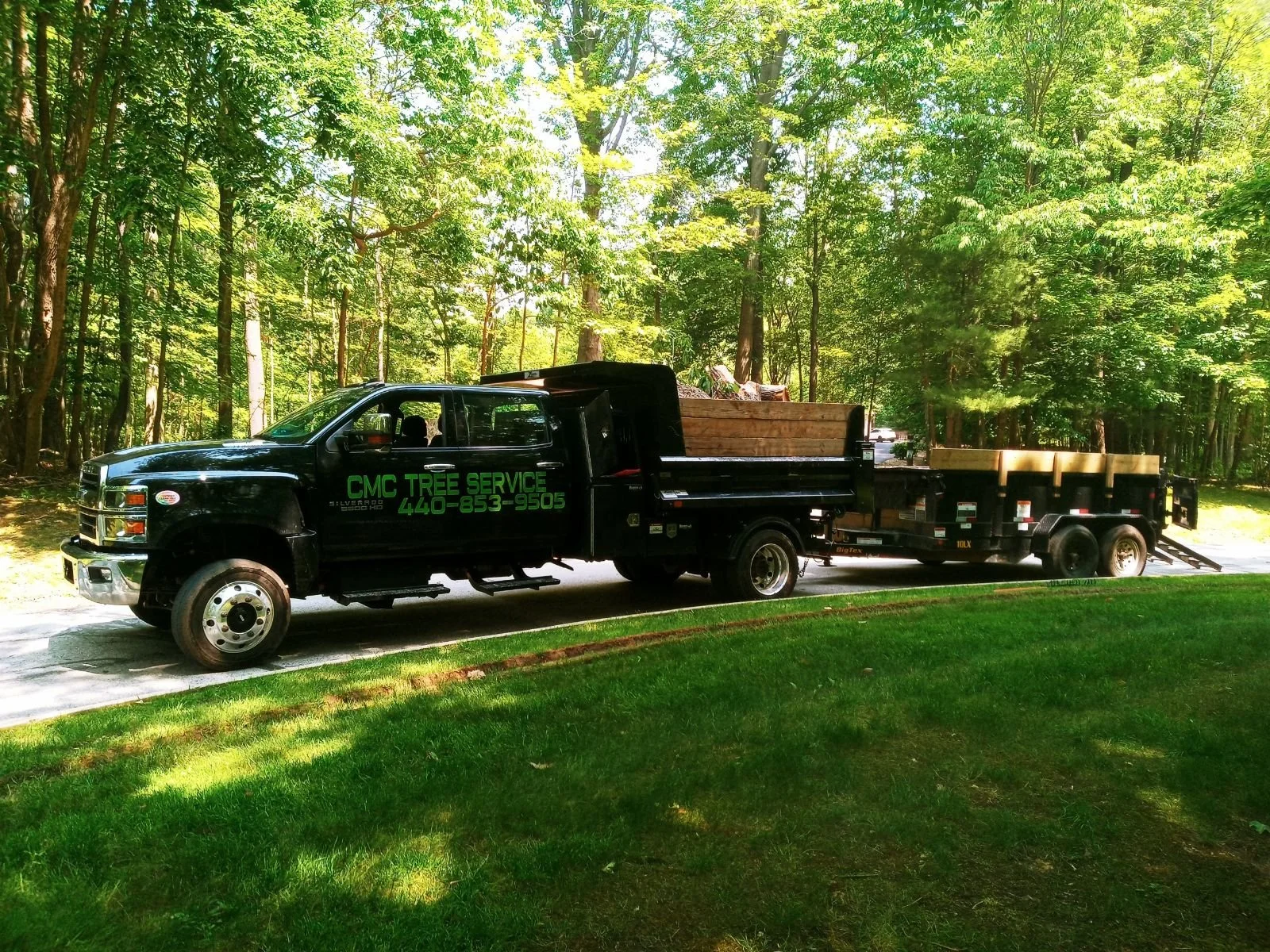 Tree removal Kirtland, Ohio