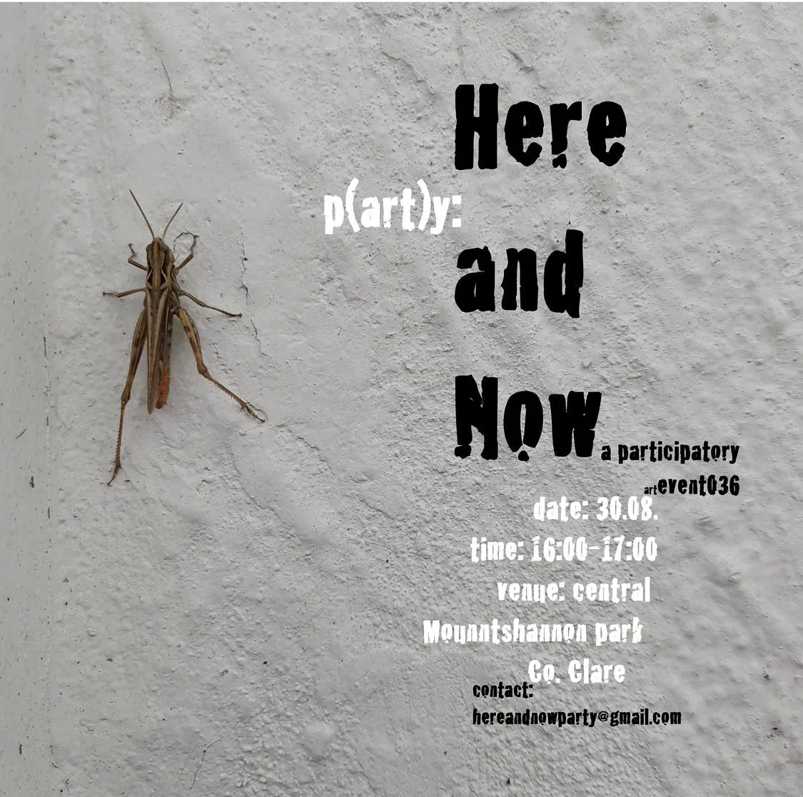 photo of a cricket on a white wall with text party here and now