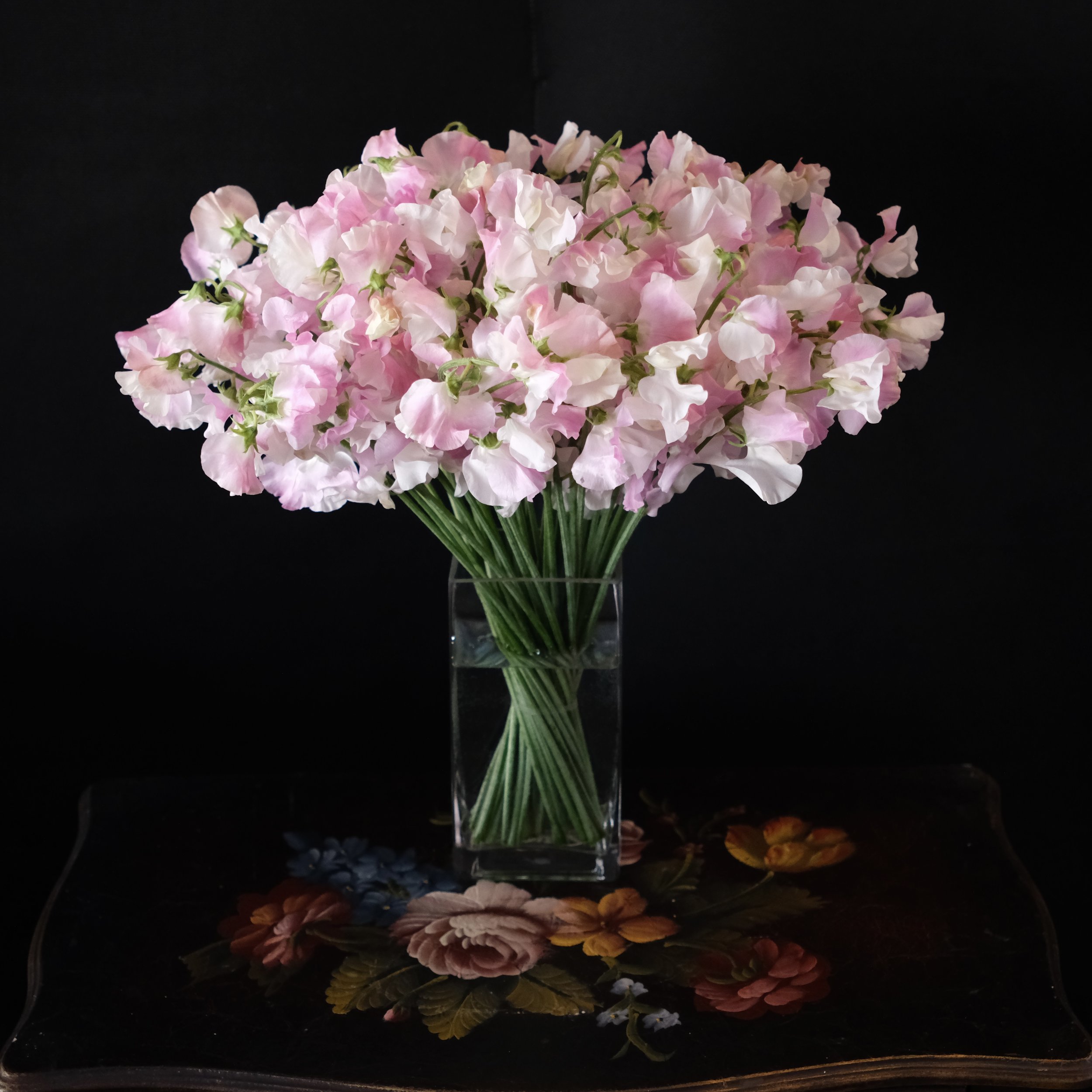 Japanese blush pink sweet peas