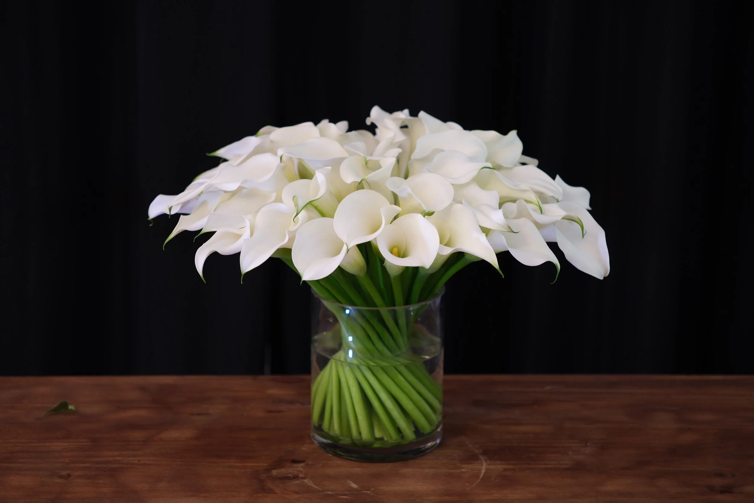 white mini callas