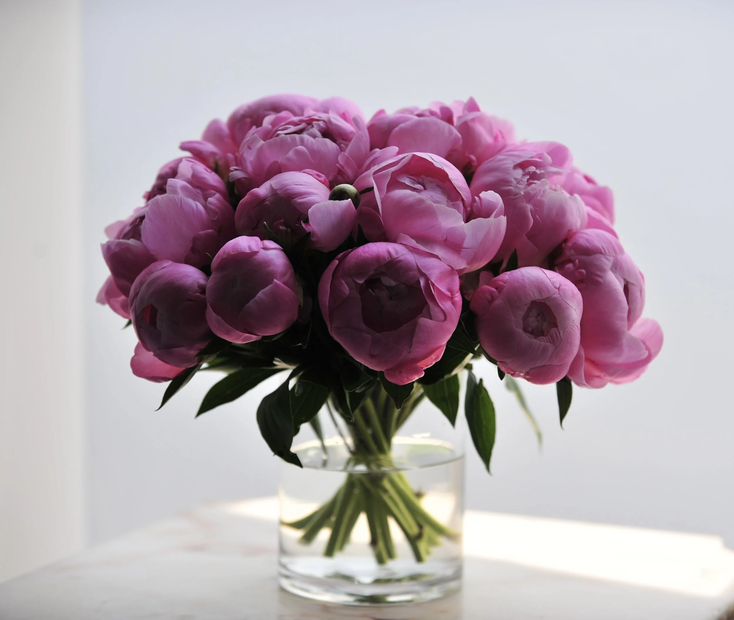 5. pink peonies copy.jpeg