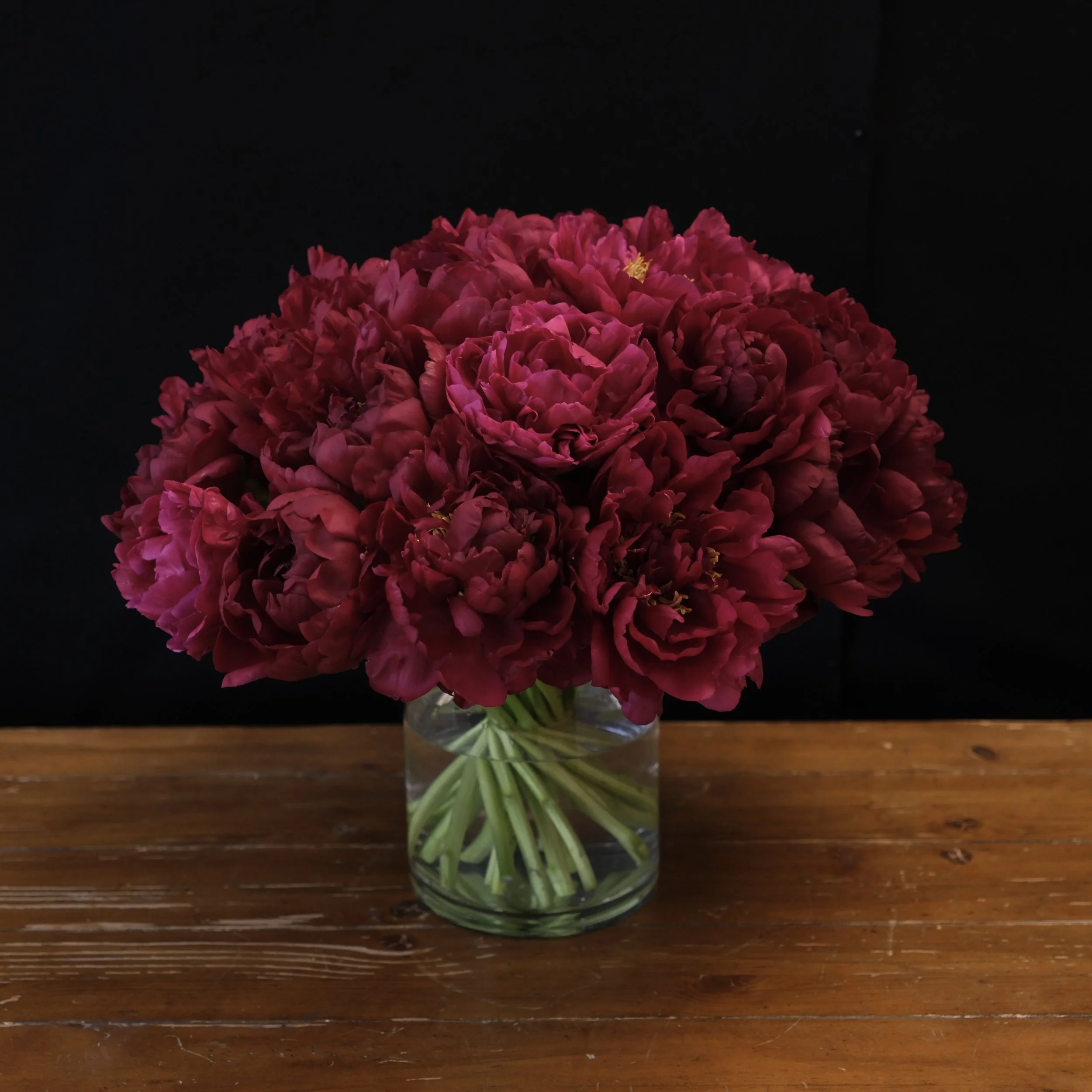 red peonies