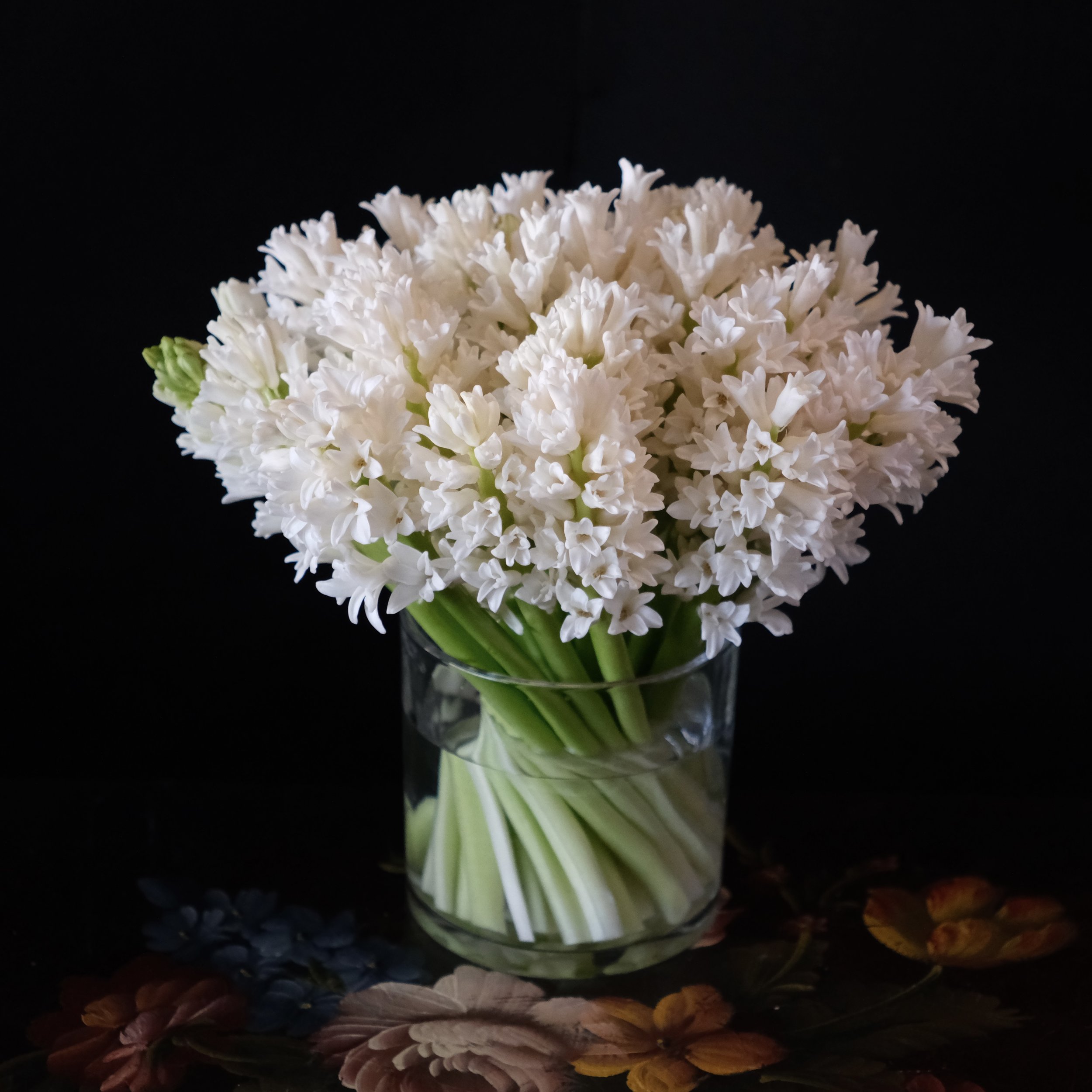 white hyacinth