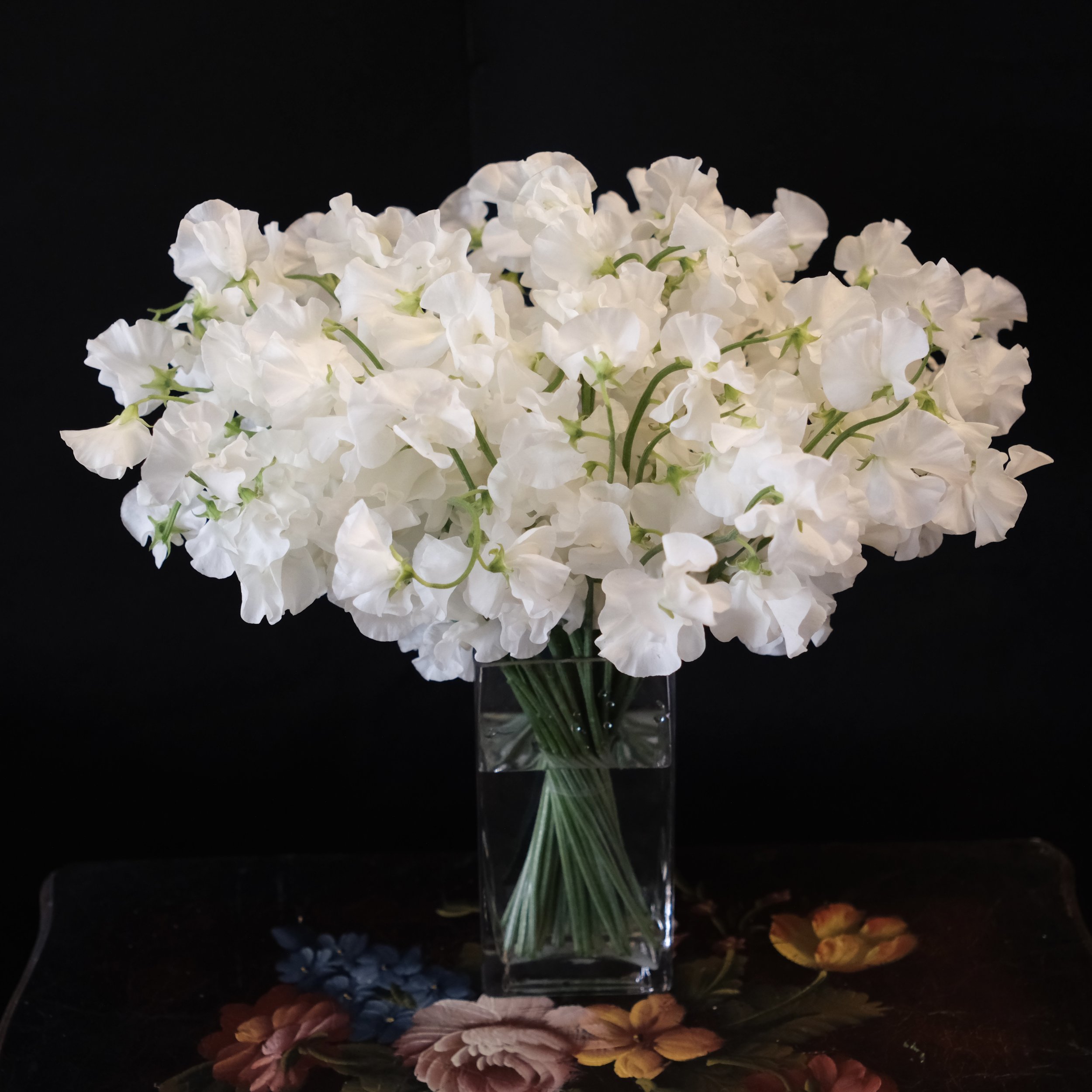 Japaneses sweet peas