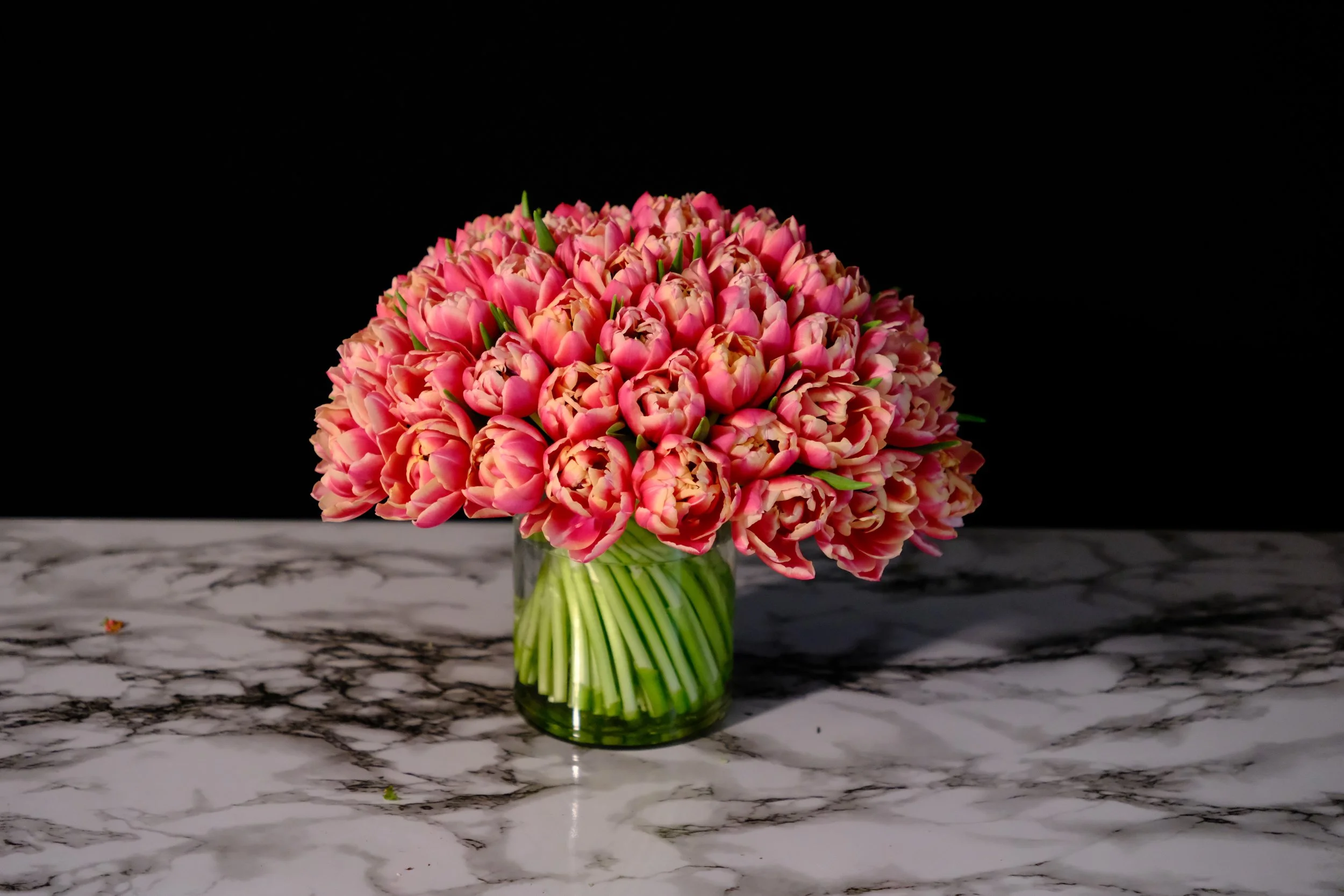coral double tulips