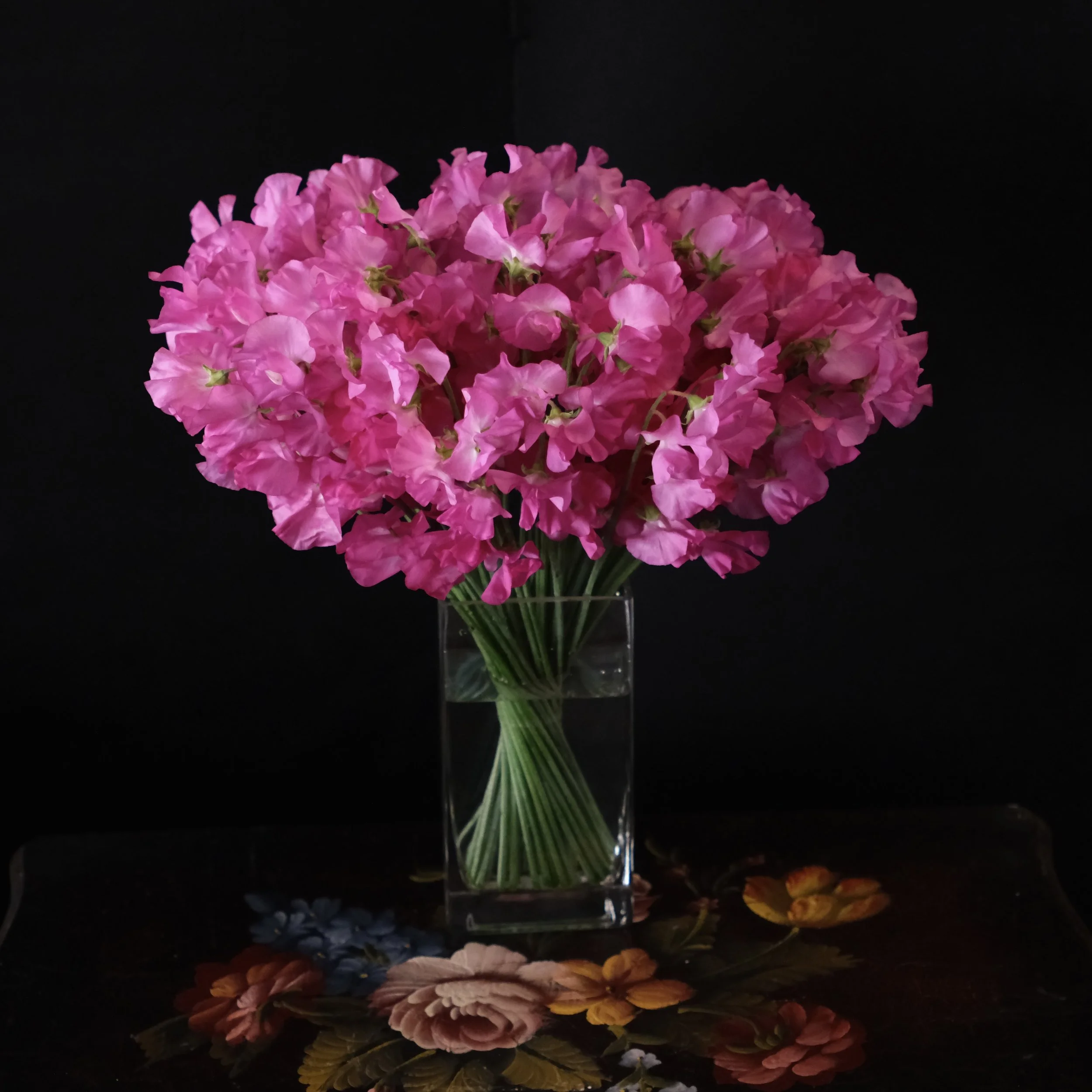 Japanese pink sweet peas