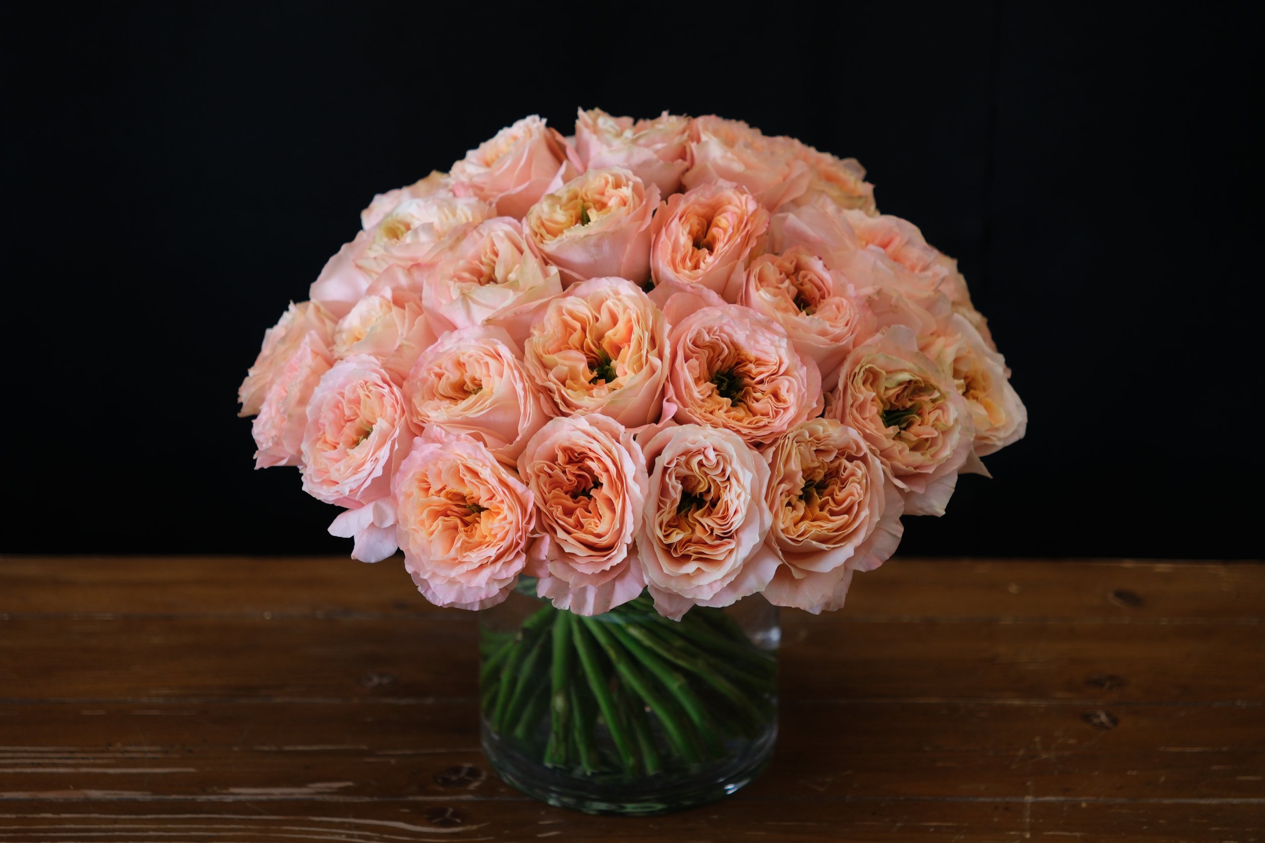 peach garden roses SOLD OUT