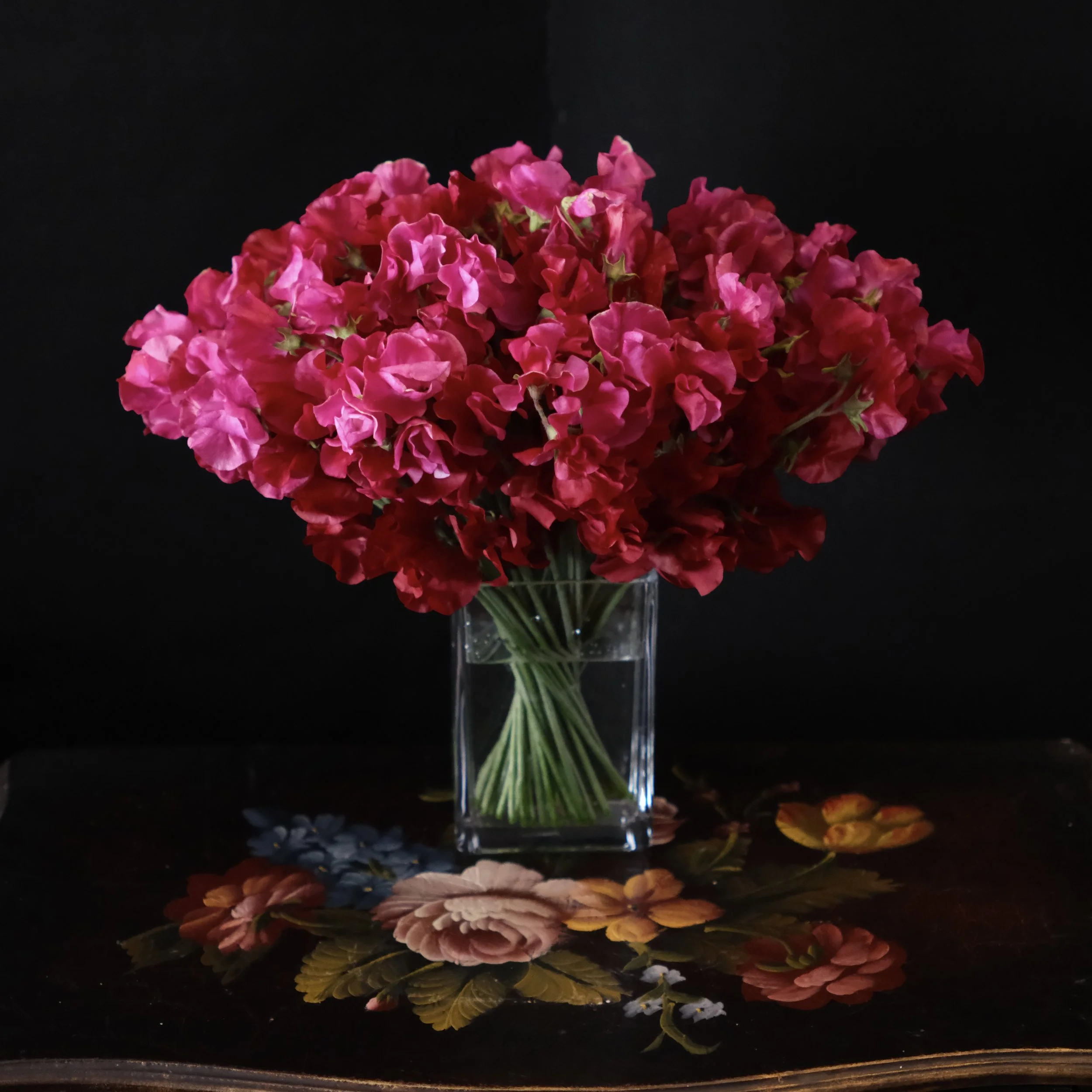 Japanese red sweet peas