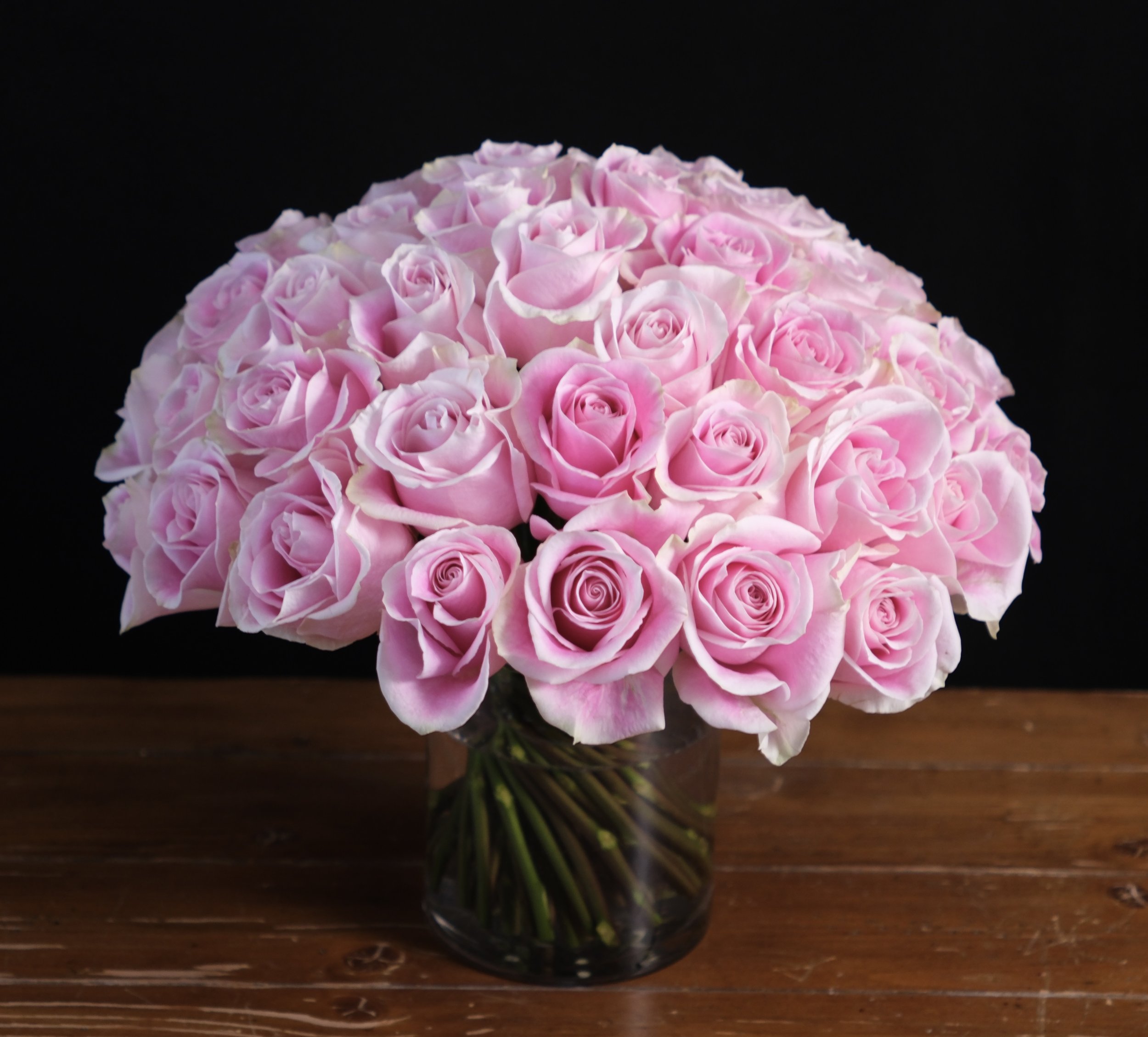 rosita vendela roses