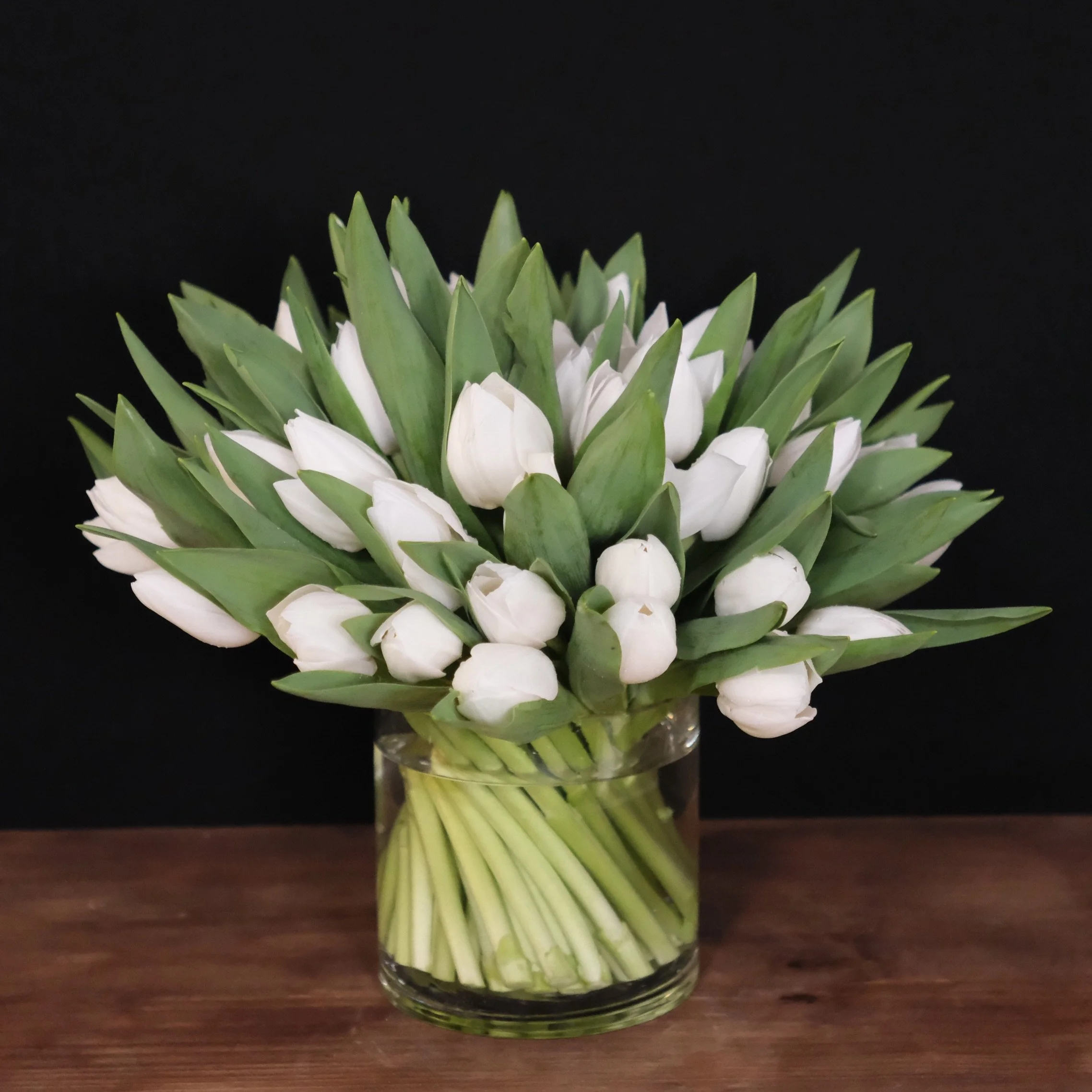 white tulips