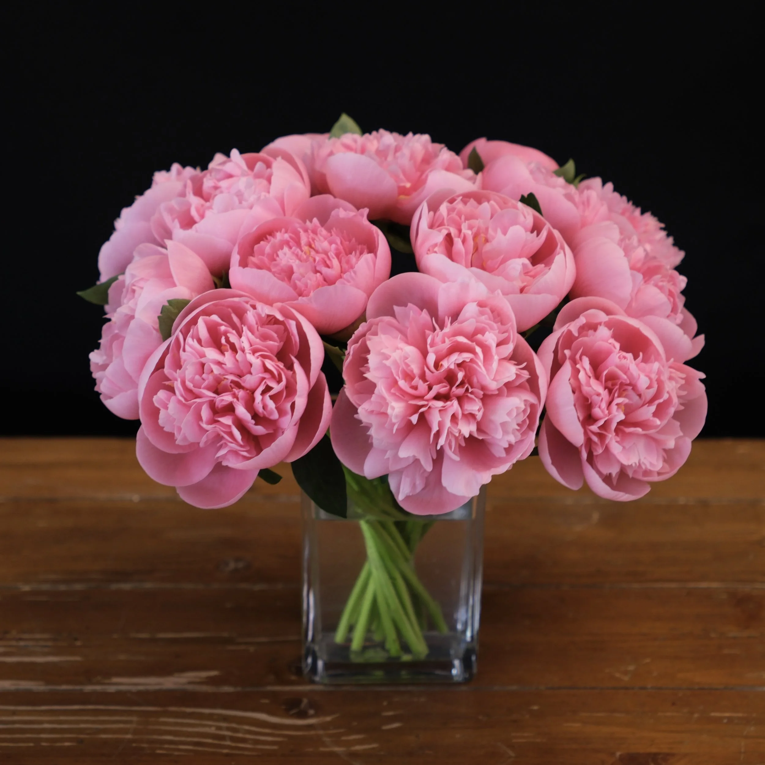 coral salmon peonies