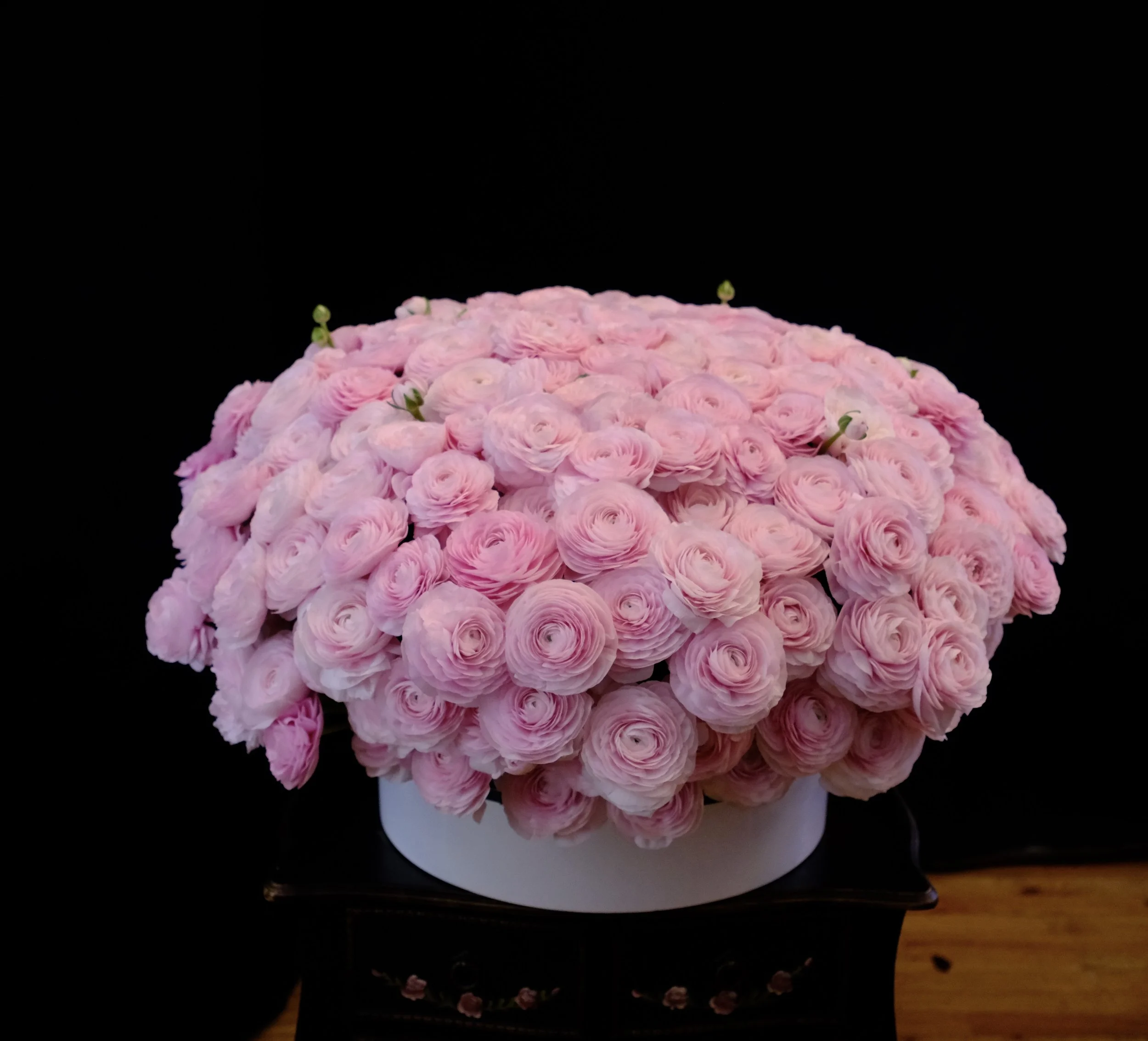DSCF8821.JPG