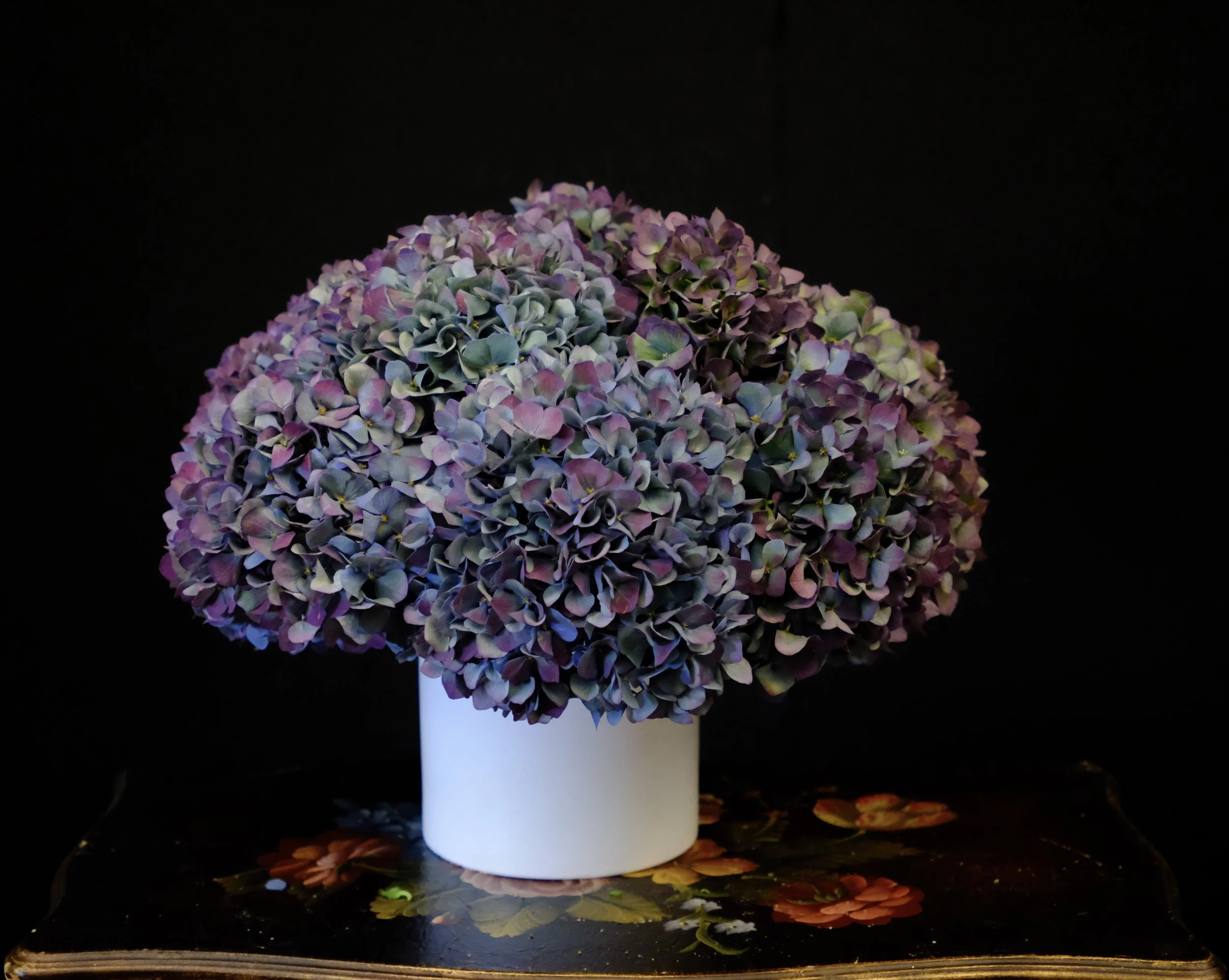DSCF9791.JPG