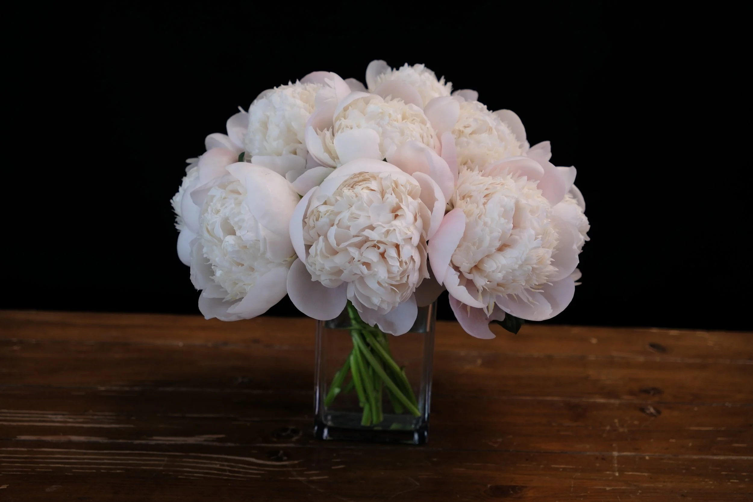 blush white double peonies