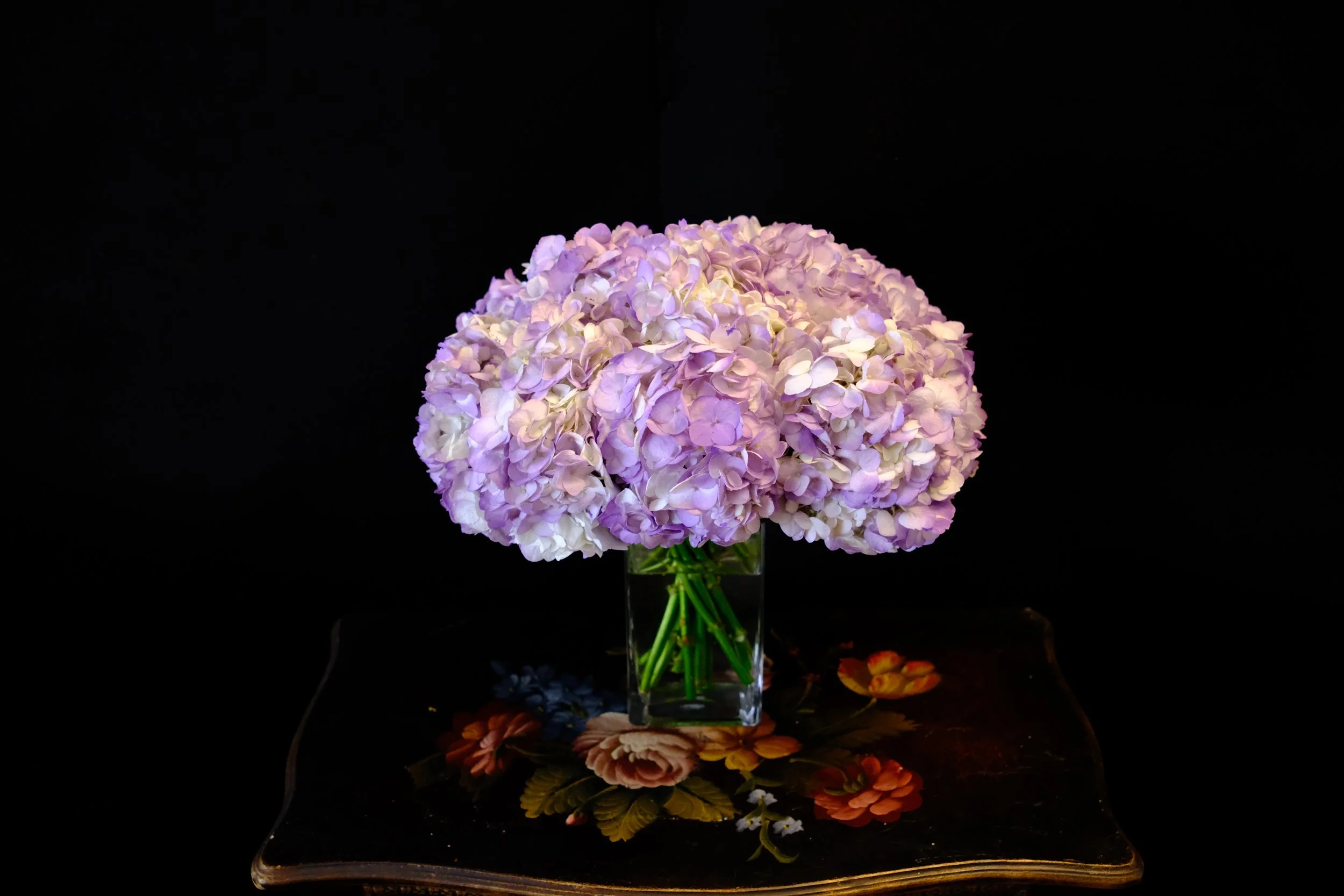 Lavender hydrangeas