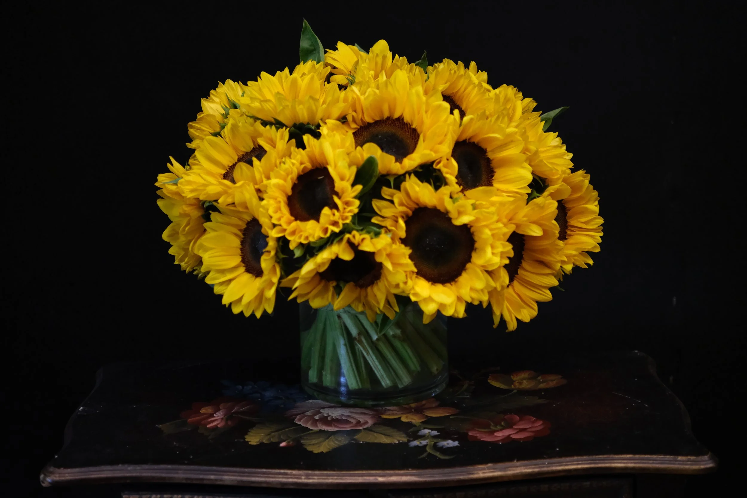 DSCF9579.JPG