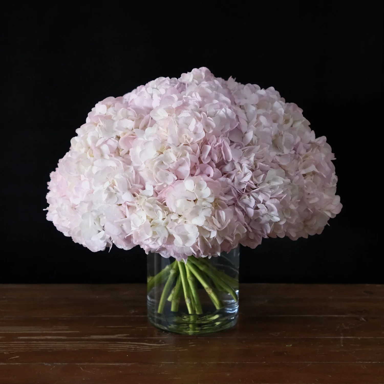 Blush pink hydrangeas