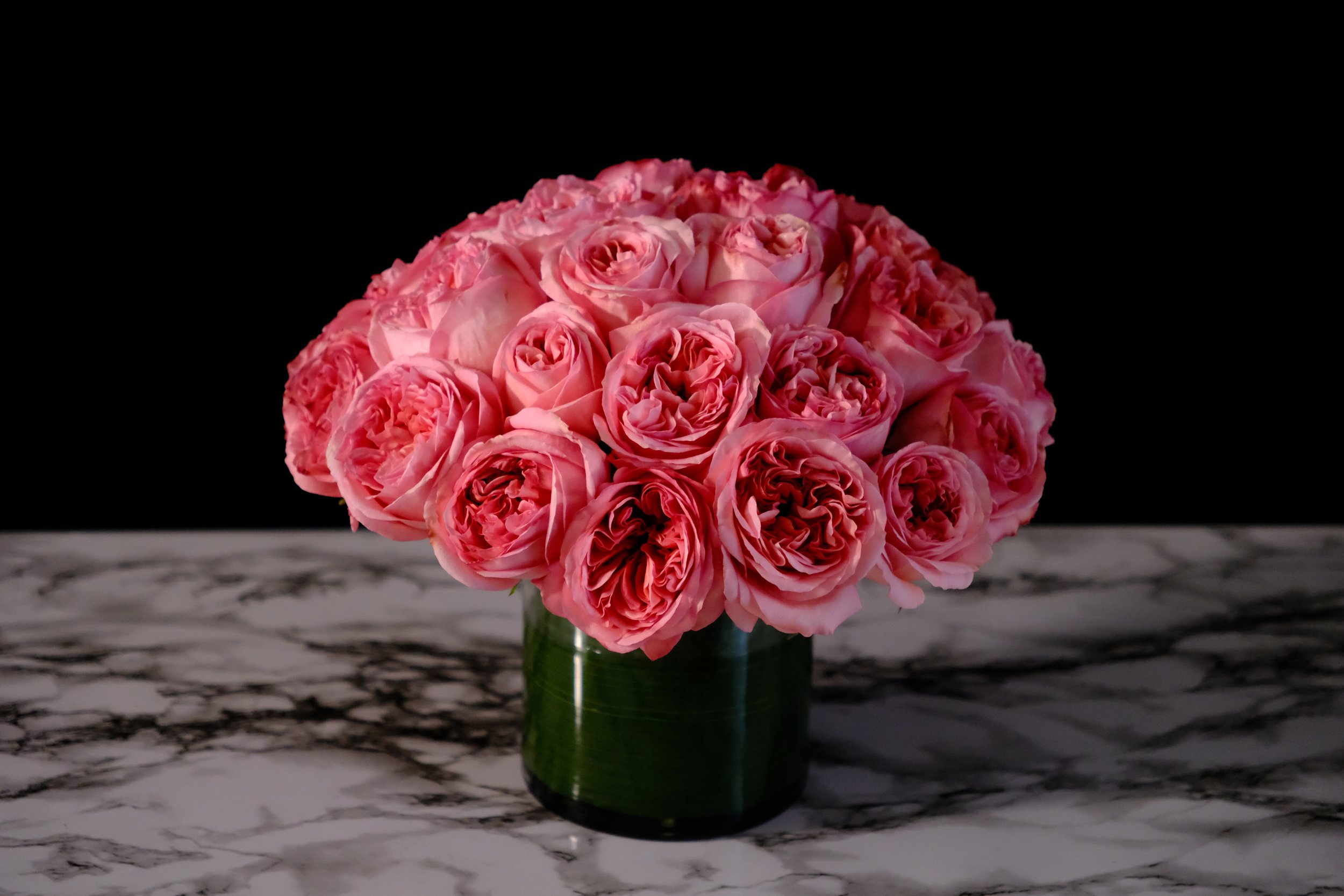 pink garden roses