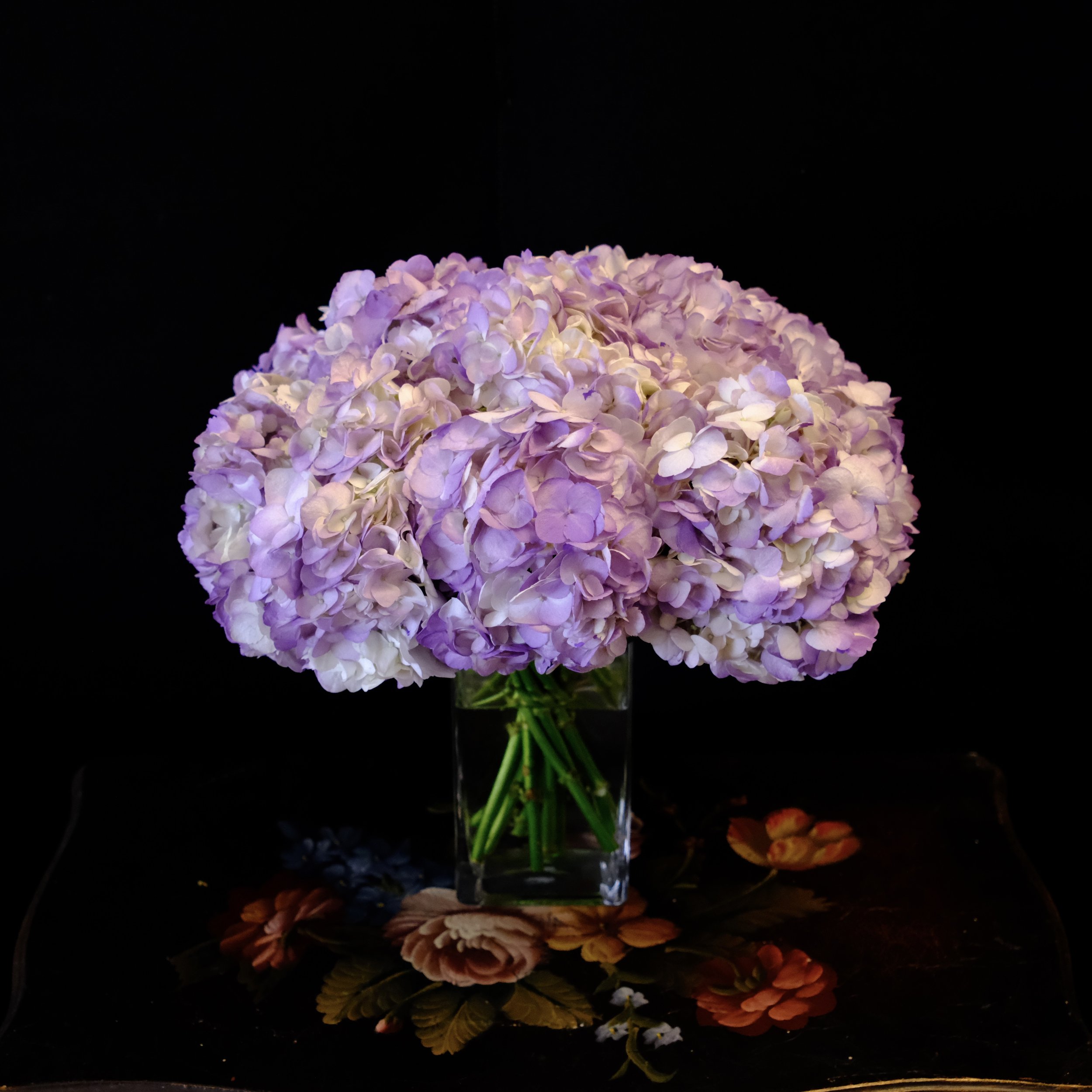 DSCF8263.JPG