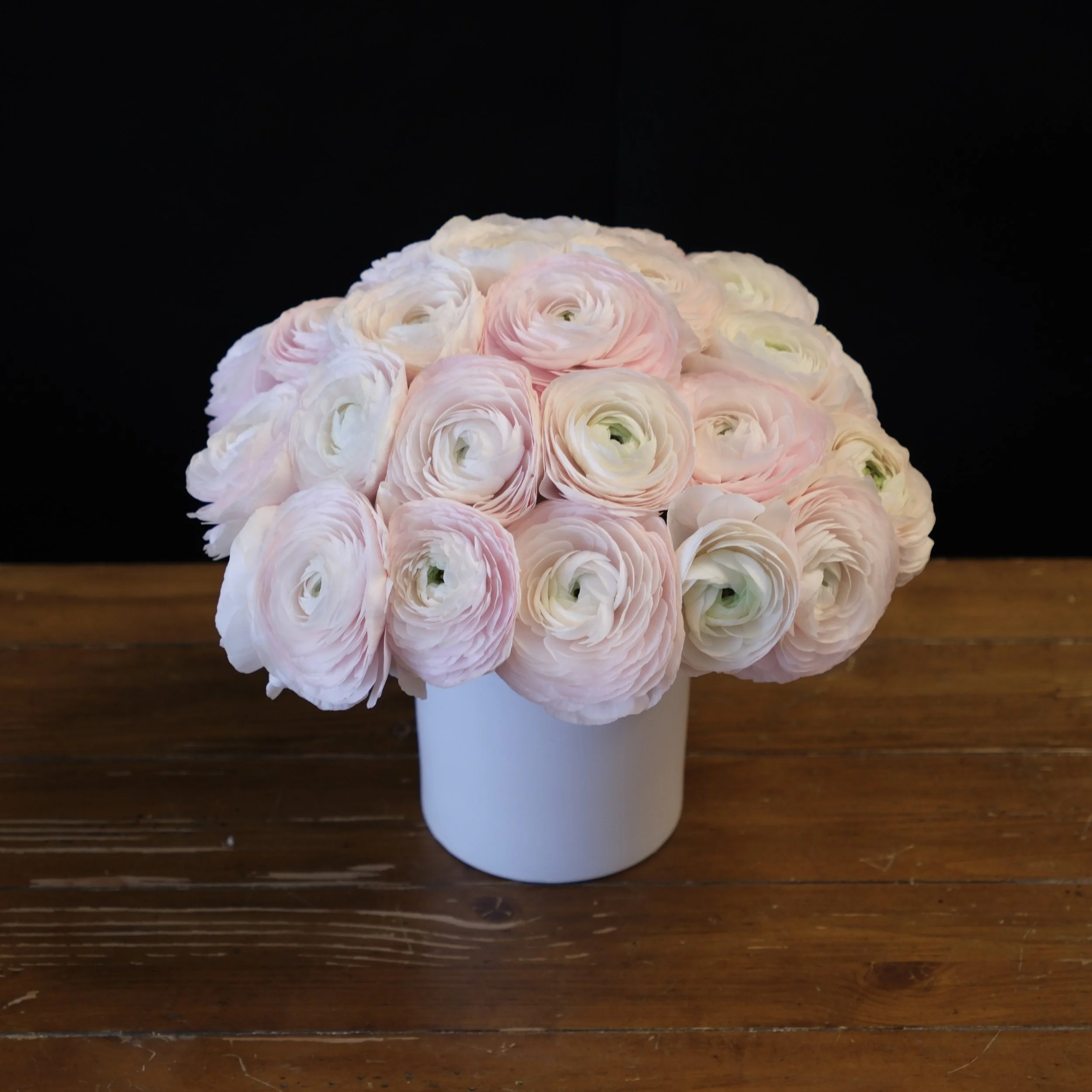 Japanese blush ranunculus
