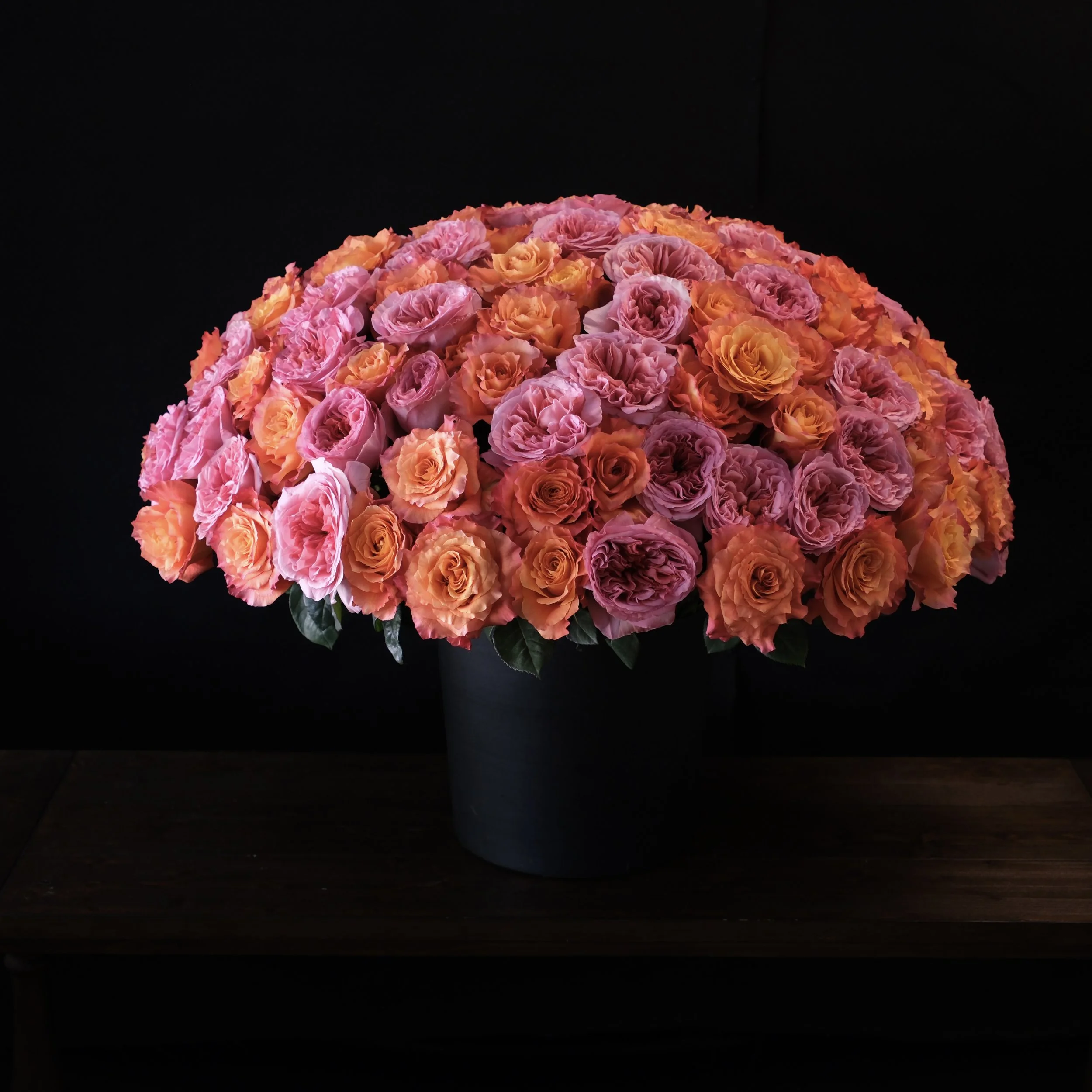 luxe pink and sunset  garden roses with light fragrance