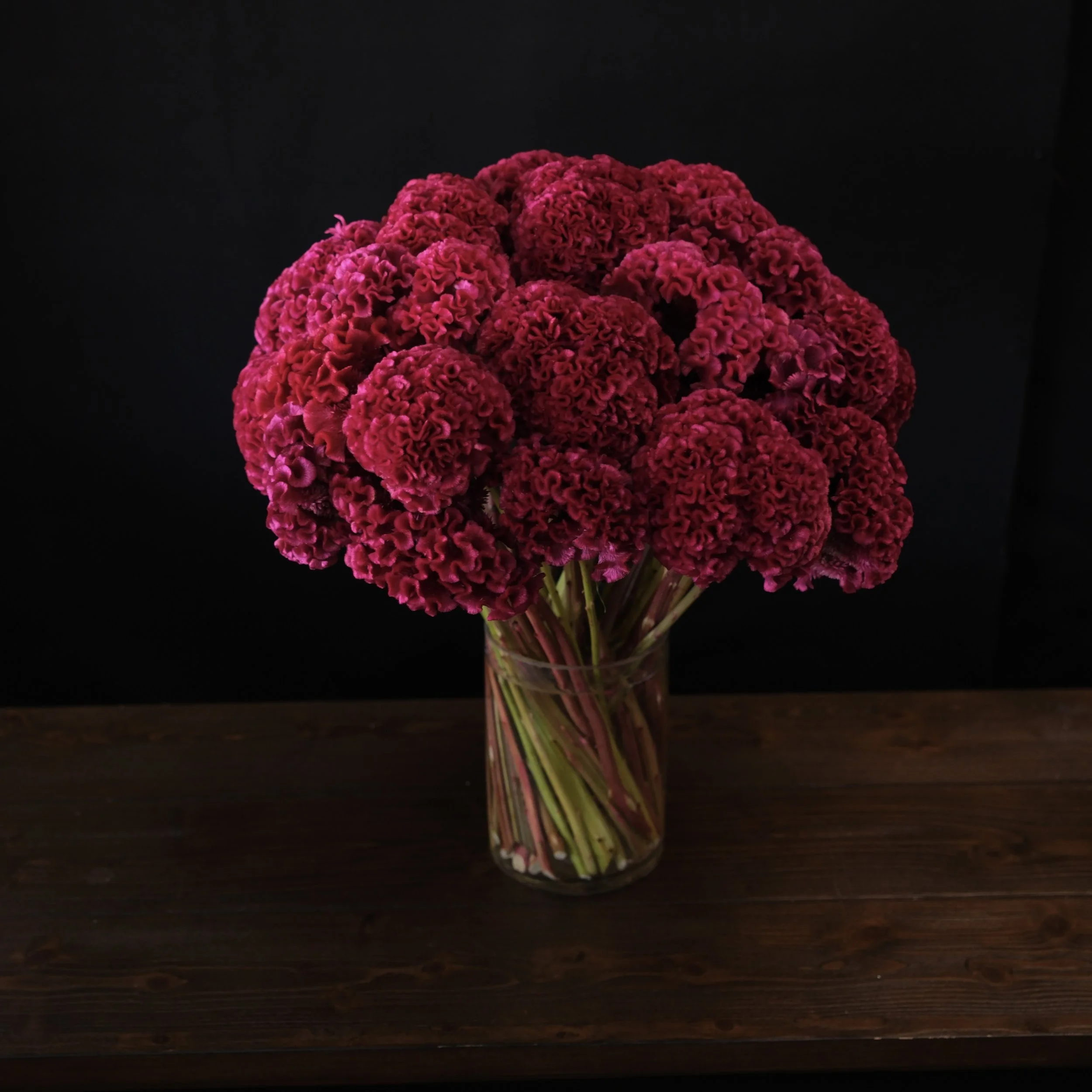DSCF6578.JPG