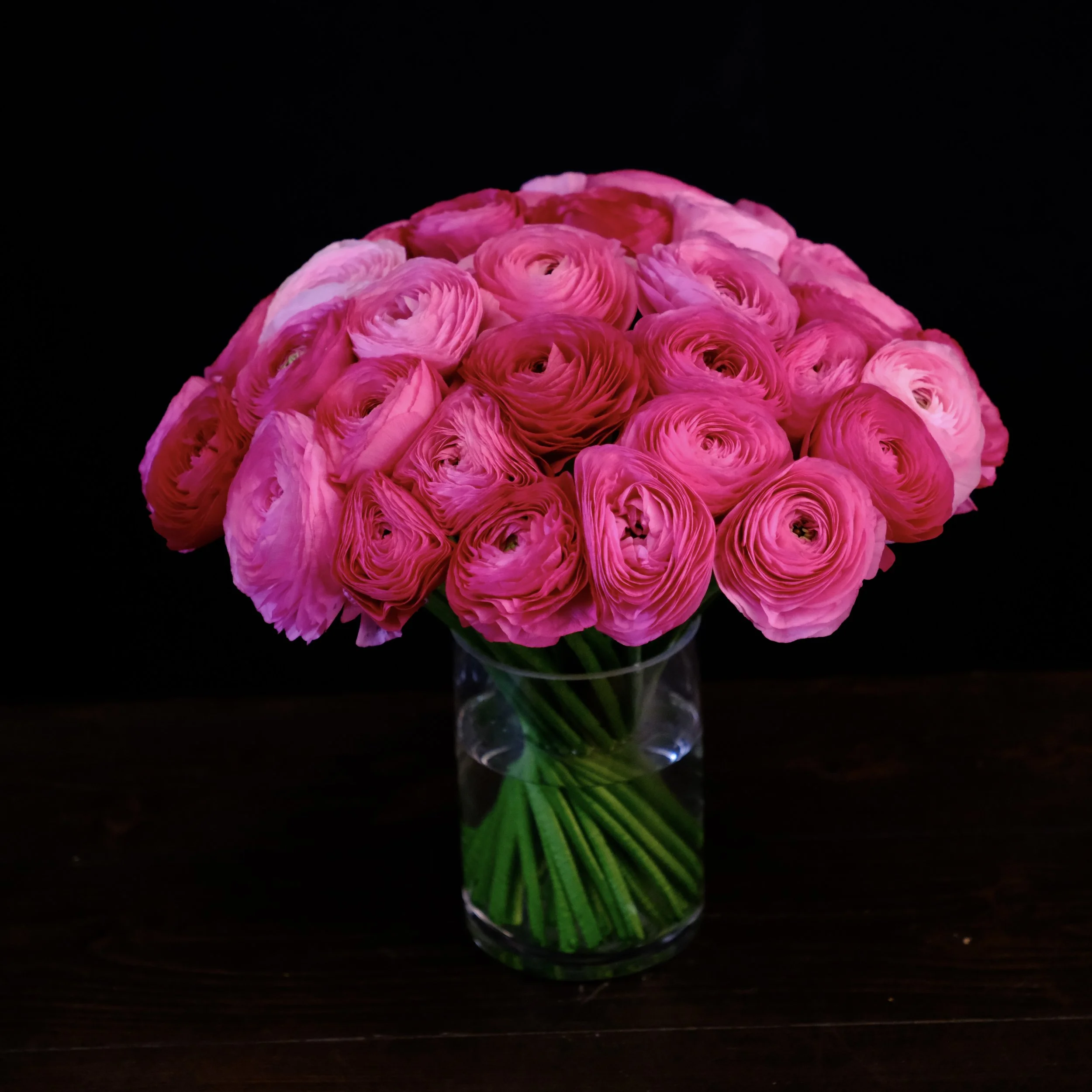 pink ranunculus