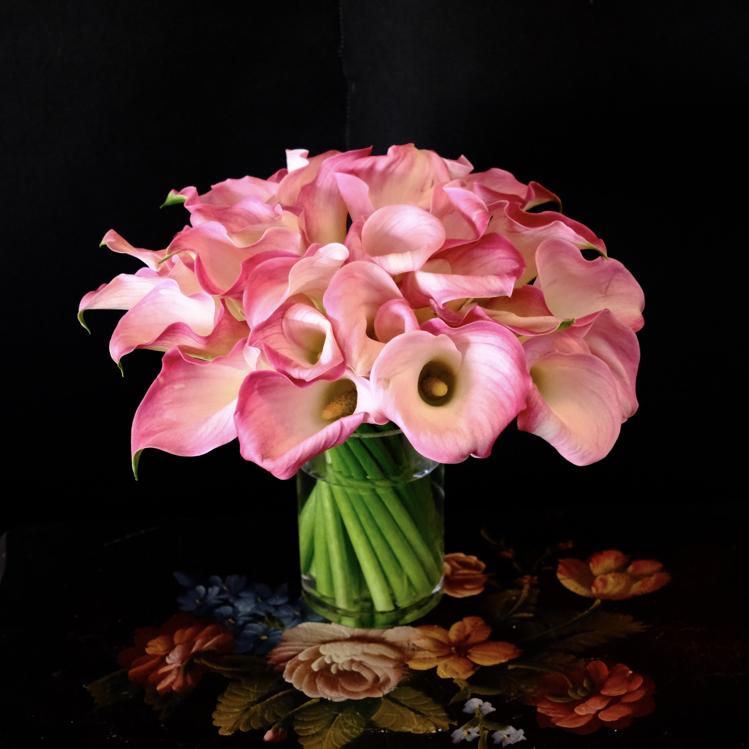 DSCF8312.JPG