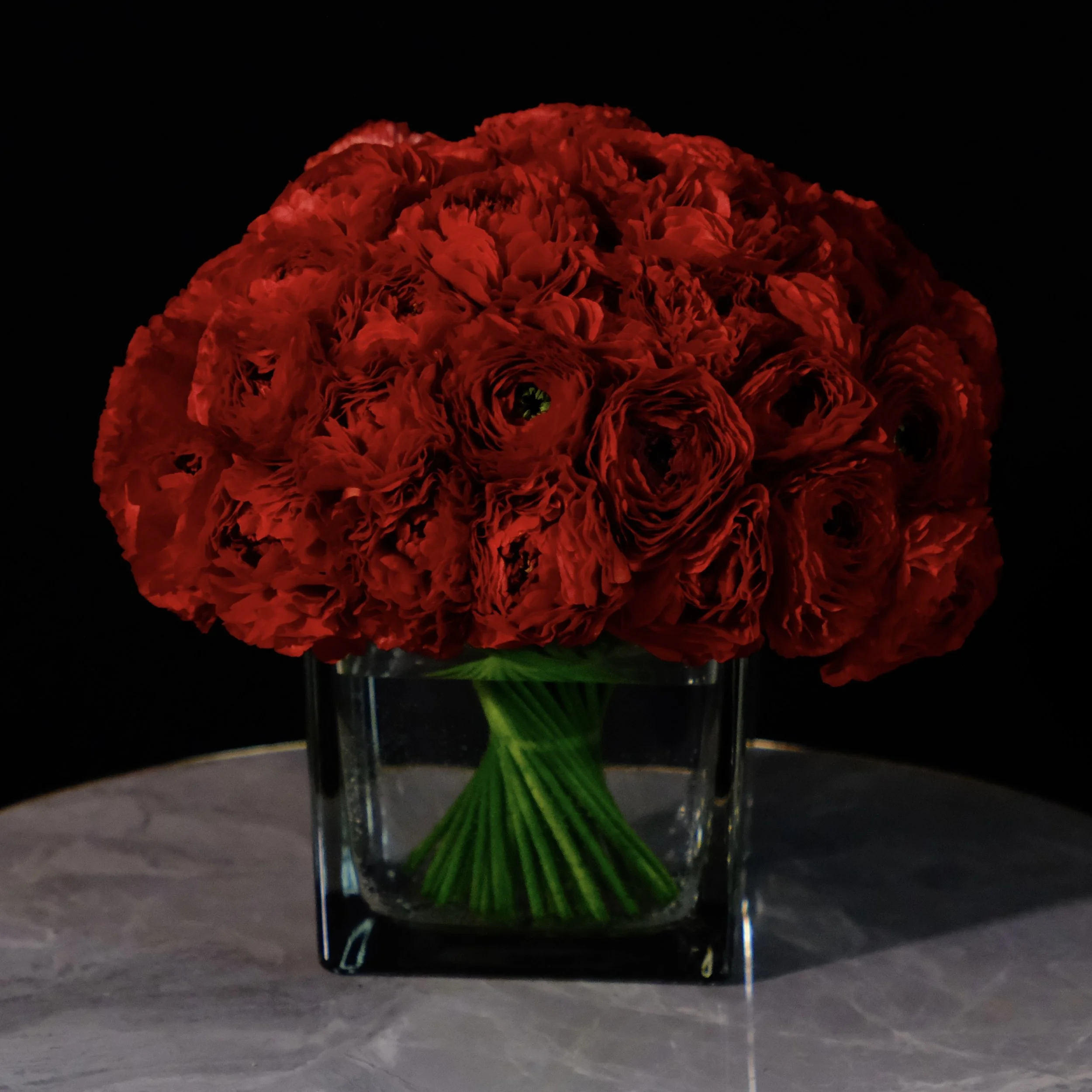 Japanese red ranunculus