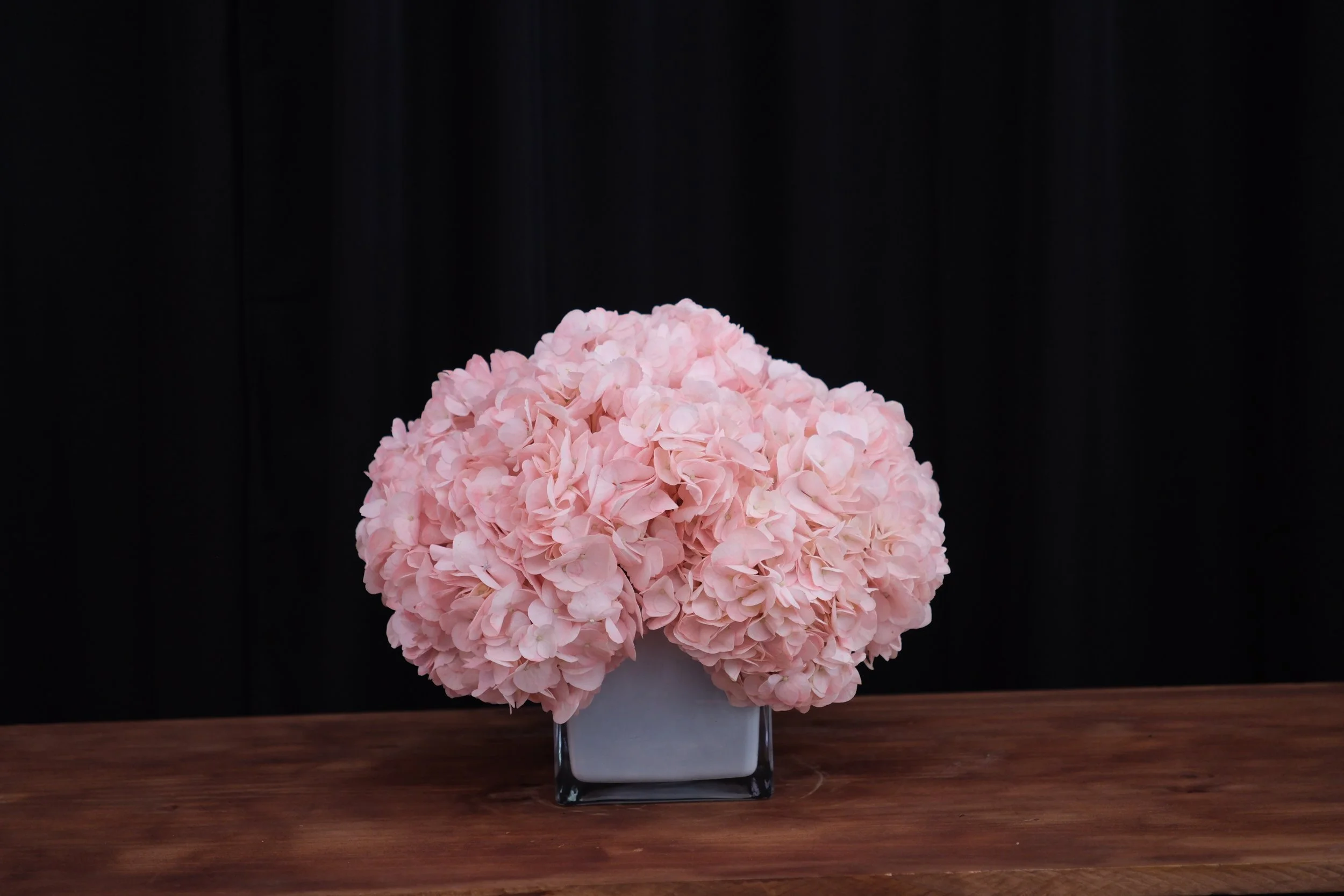 pale pink hydrangeas