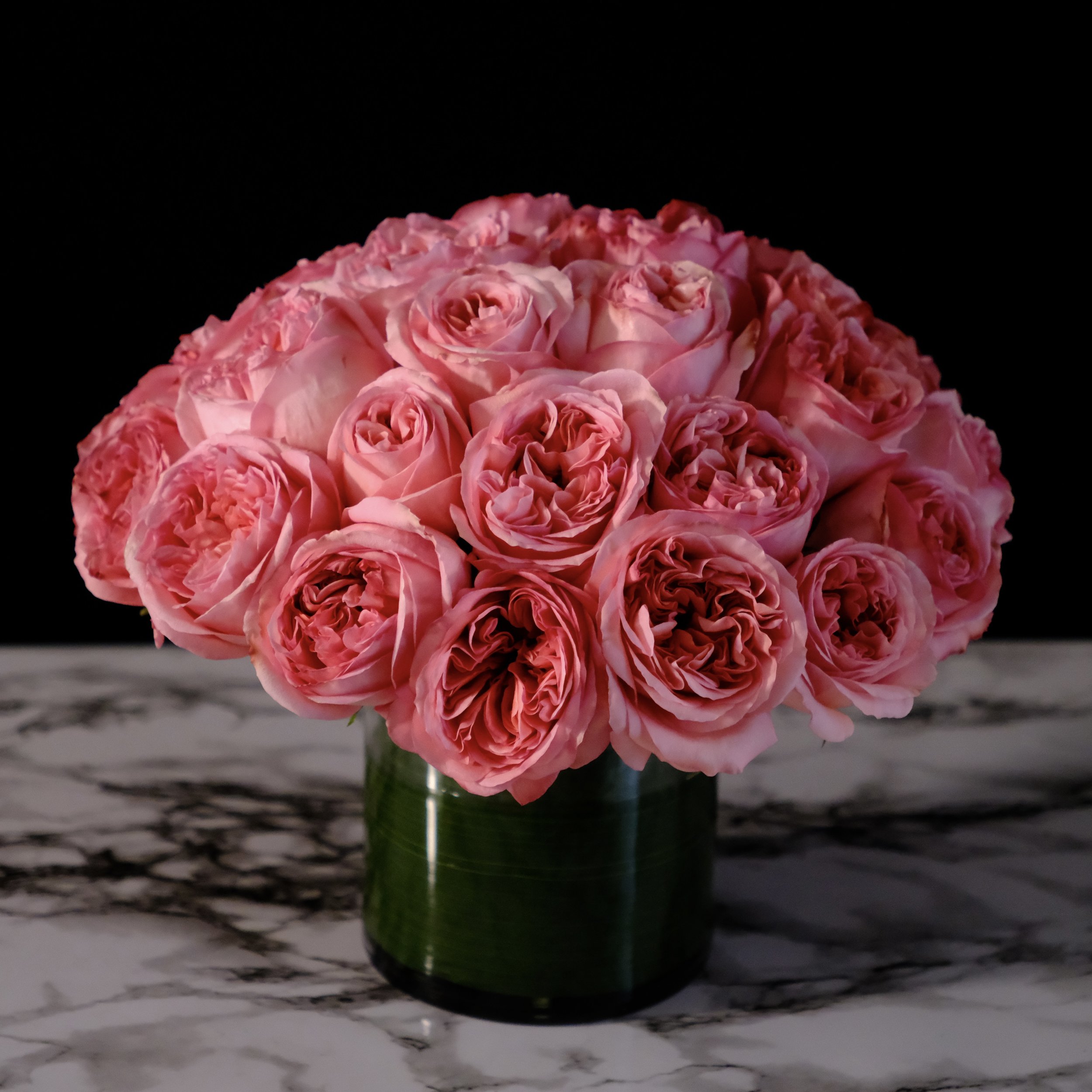 pink garden roses- no fragrance