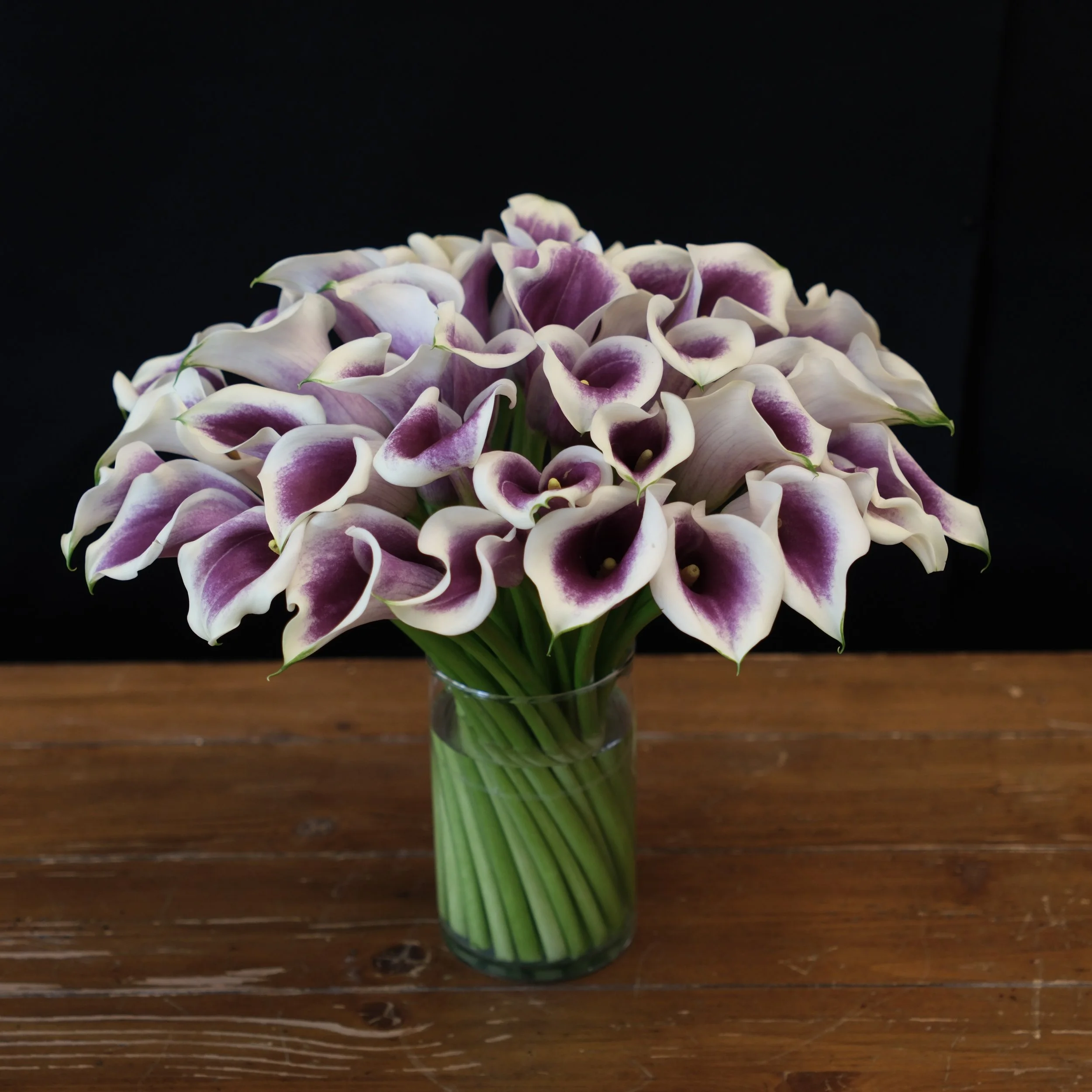 DSCF6194.JPG