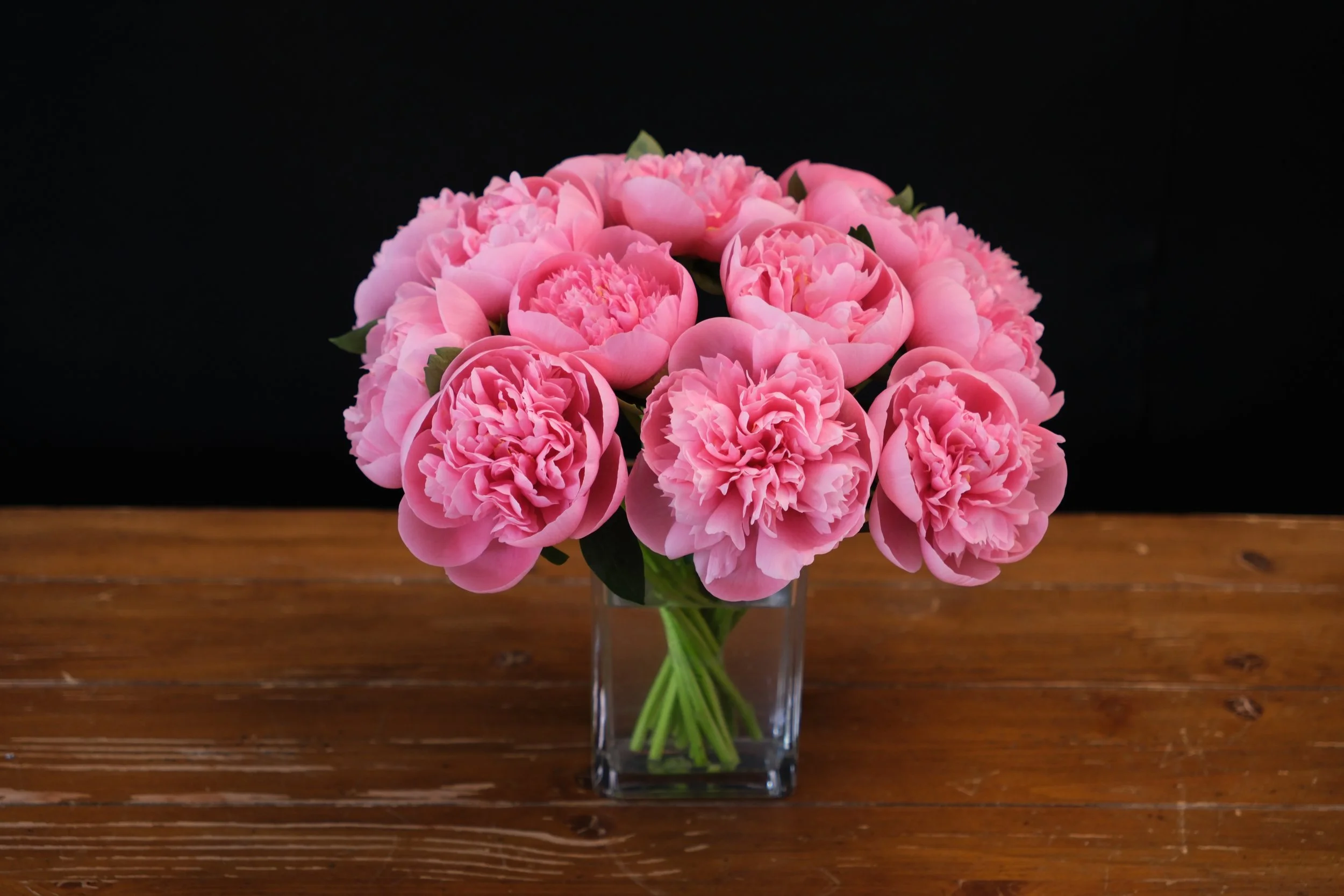coral salmon peonies