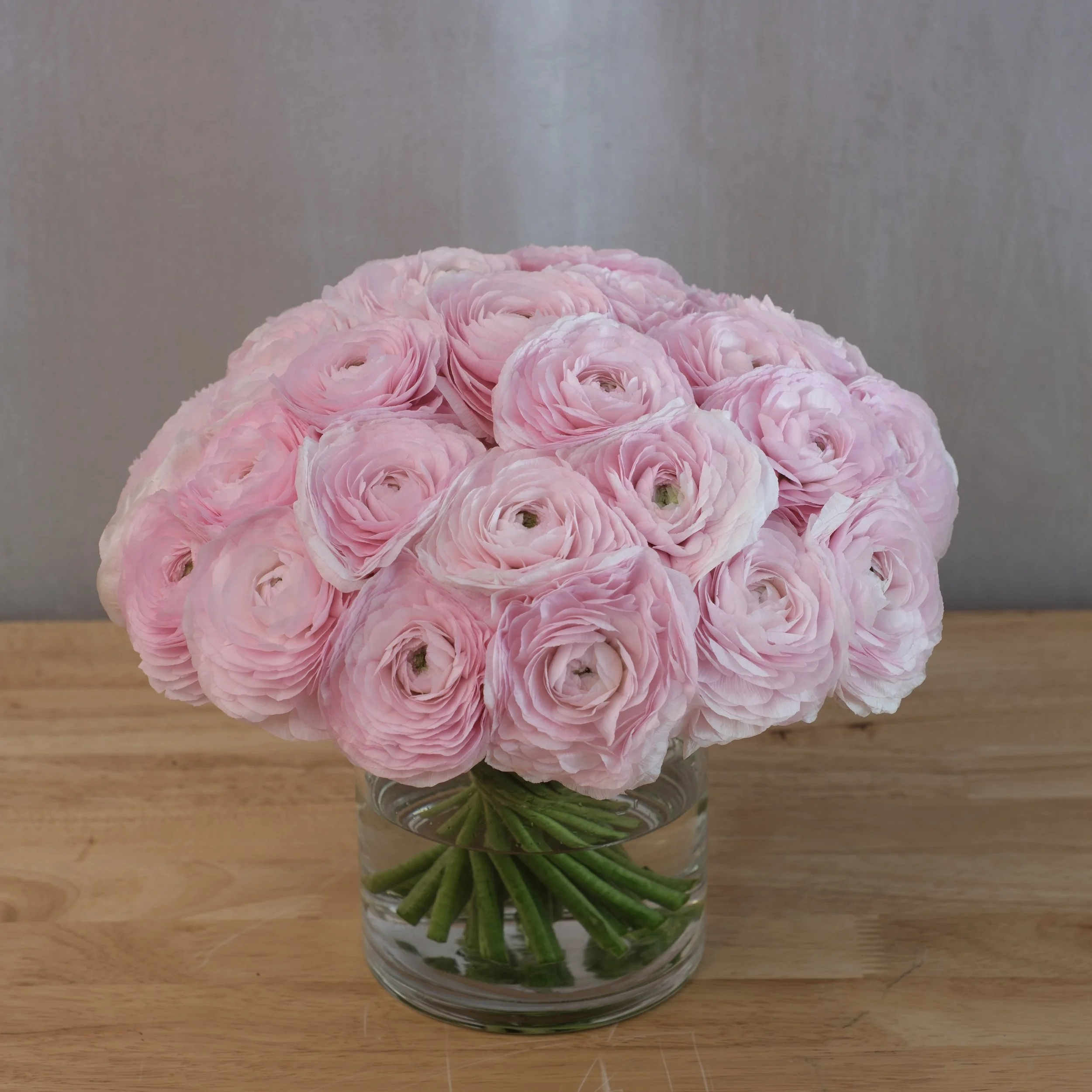 DSCF1129.JPG