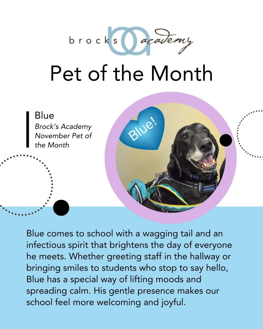 🐾 Meet our Pet of the Month: Blue! 🐶 With a wagging tail and an infectious spirit, Blue brightens the day of everyone he meets. From hallway greetings to bringing smiles to students, his gentle presence makes our school feel welcoming and joyful. ?