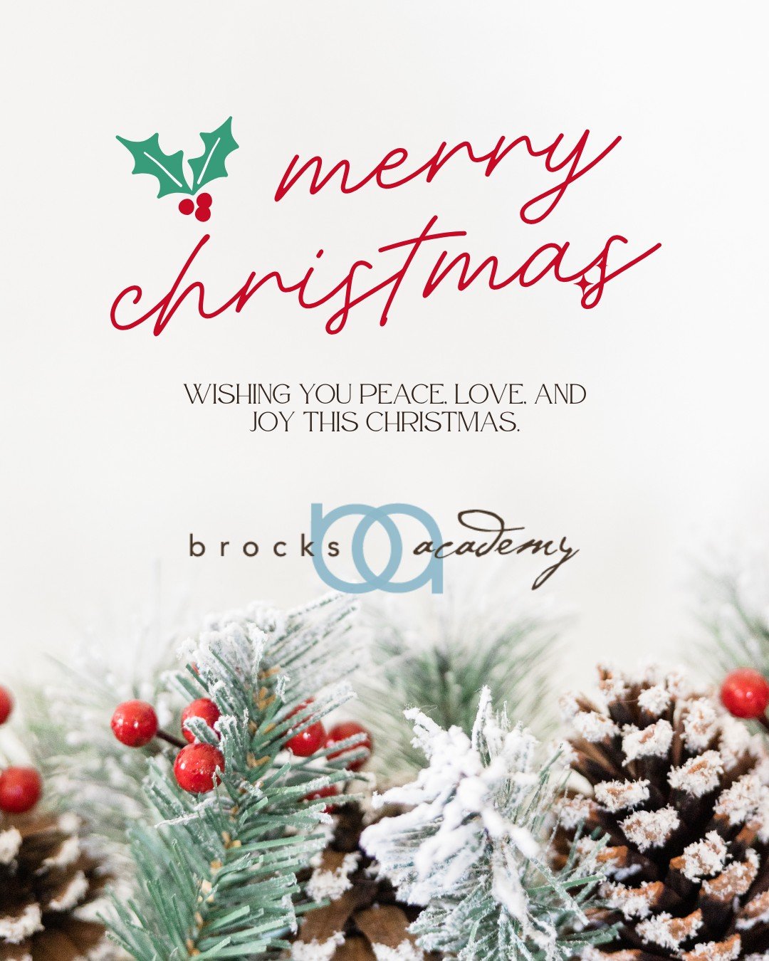 Merry Christmas from all of us at Brock&rsquo;s Academy. Wishing our students, families, and staff a joyful holiday filled with warmth, gratitude, and special moments together.
.
.
.
#MerryChristmas #BrocksAcademy #DesignerEducation #Woodinville #Uni