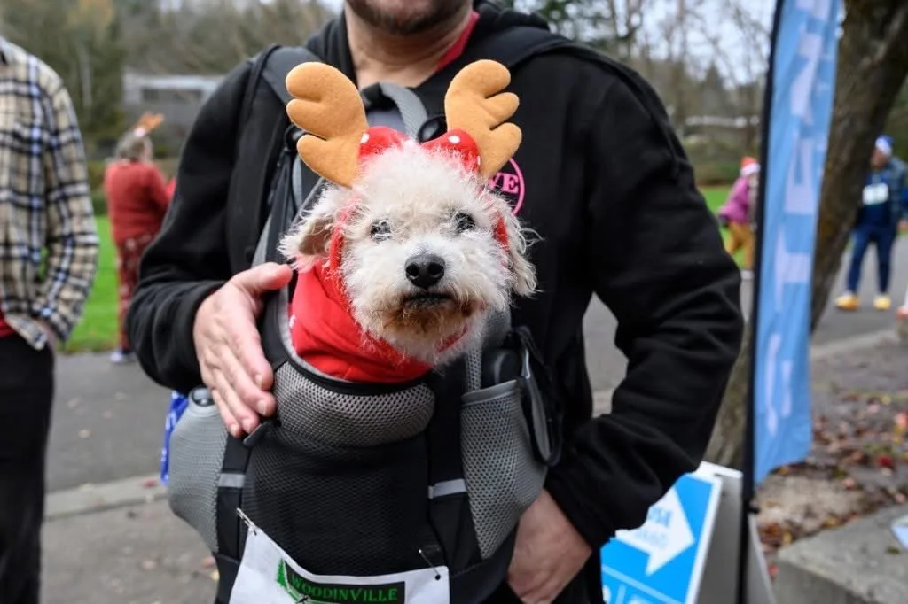 It's #throwbackthursday here at Brock's and we're taking a walk down memory lane to the Woodinville Winterfest 5k! This is a yearly tradition for our team and its one of our favorite ways to give back to the community. 

.
.
.
.
#Woodinville
#Woodinv