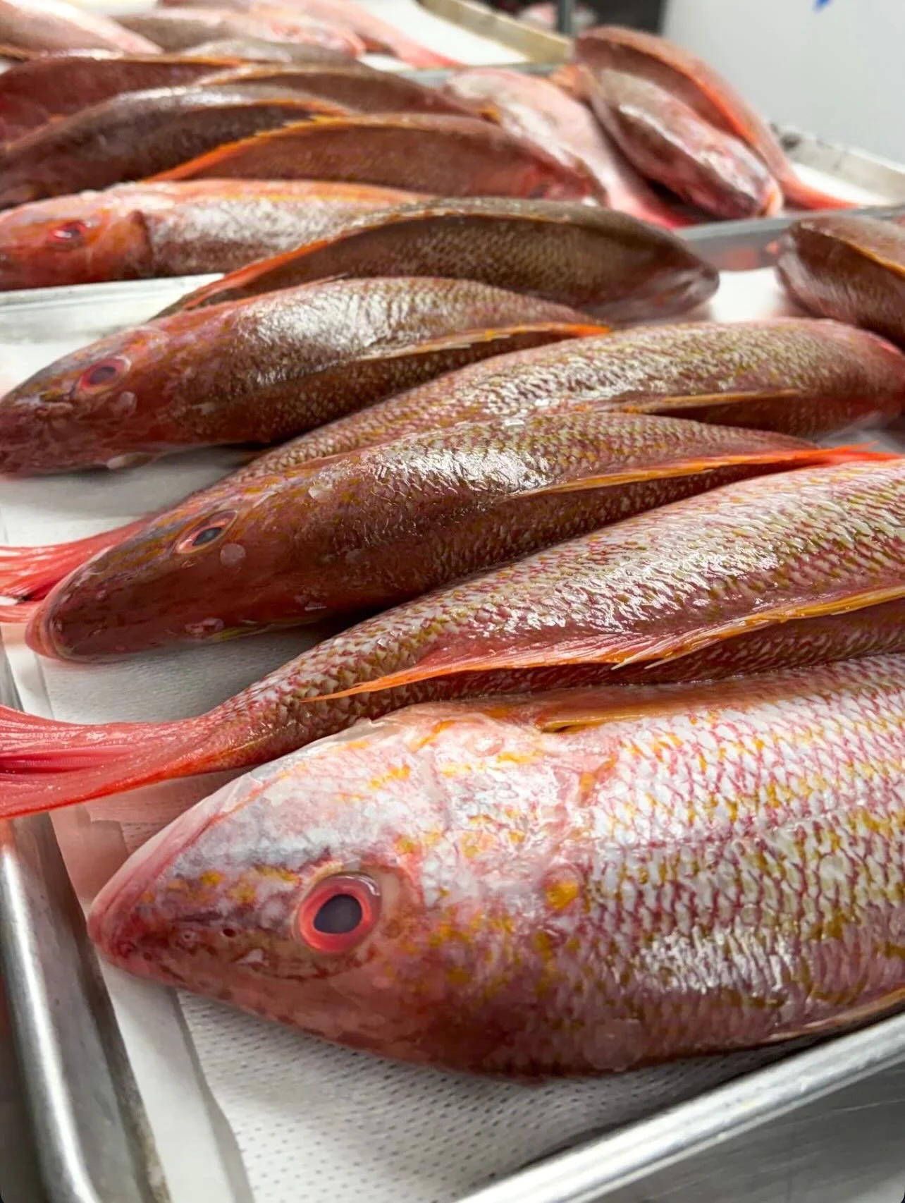 Red snapper, coming from the Louisiana coast. Served fried whole with piperade, sea beans and sauce creole.
