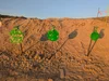 What To Know About LONG GONG — Dope Precision Rimfire