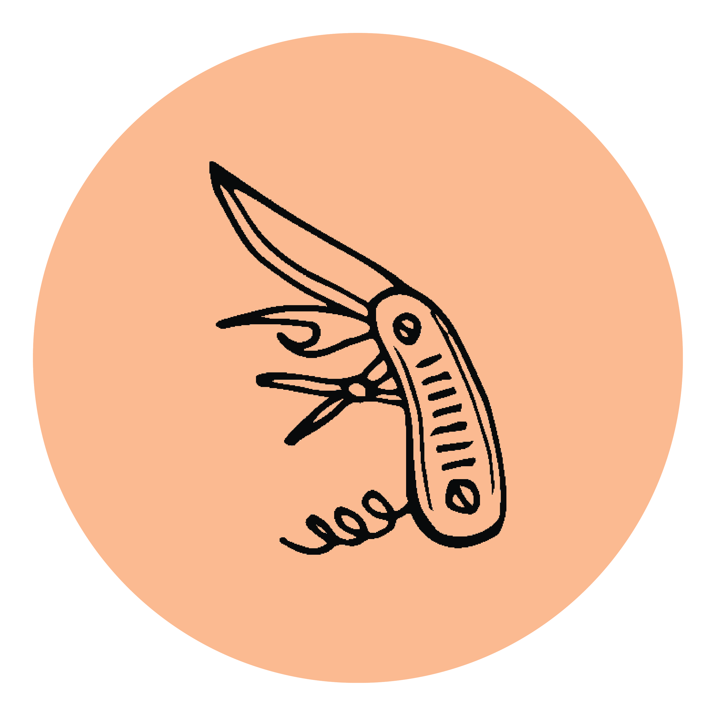 Line drawing of a shrimp on a peach-colored circular background