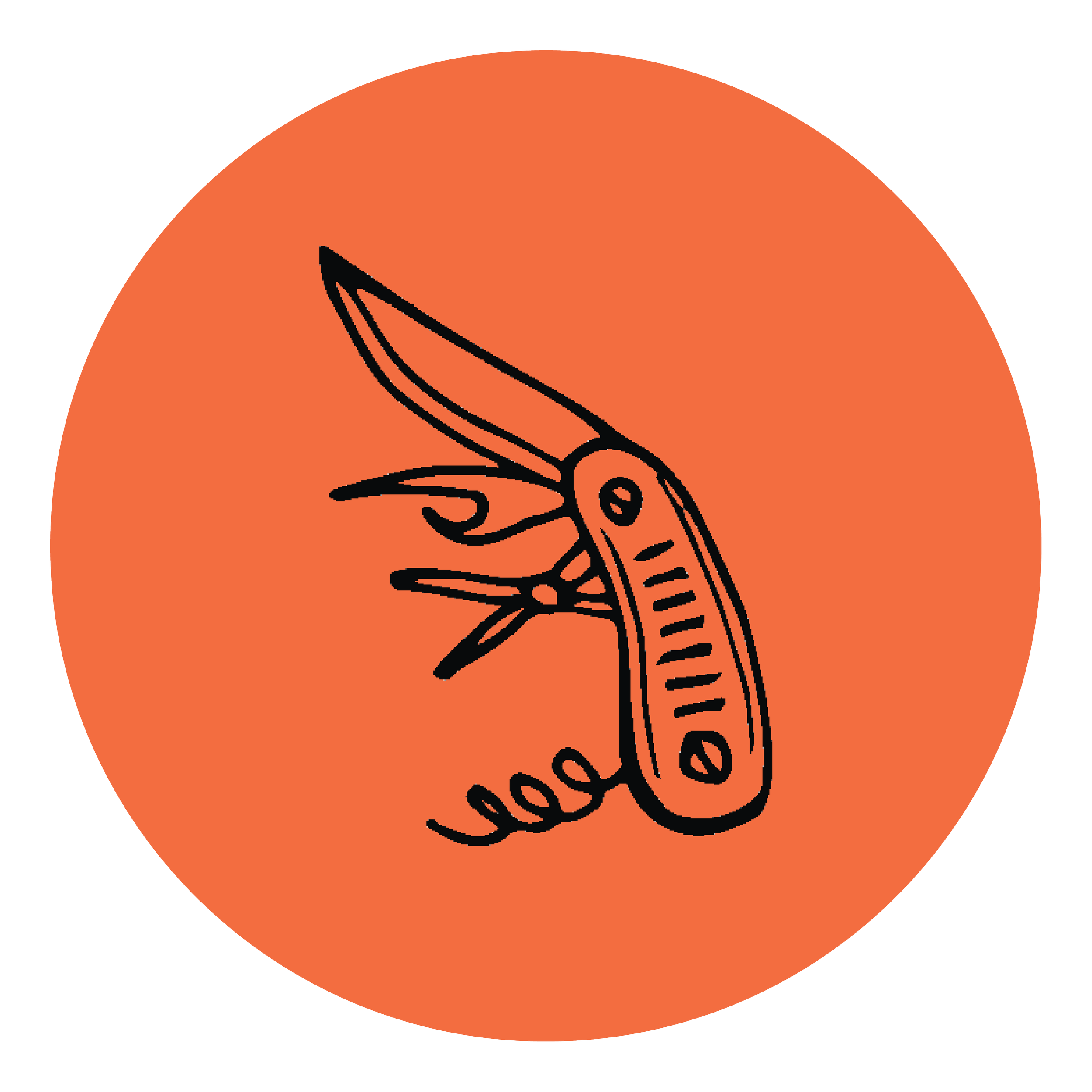 Line drawing of a shrimp with large claw, on an orange circular background.