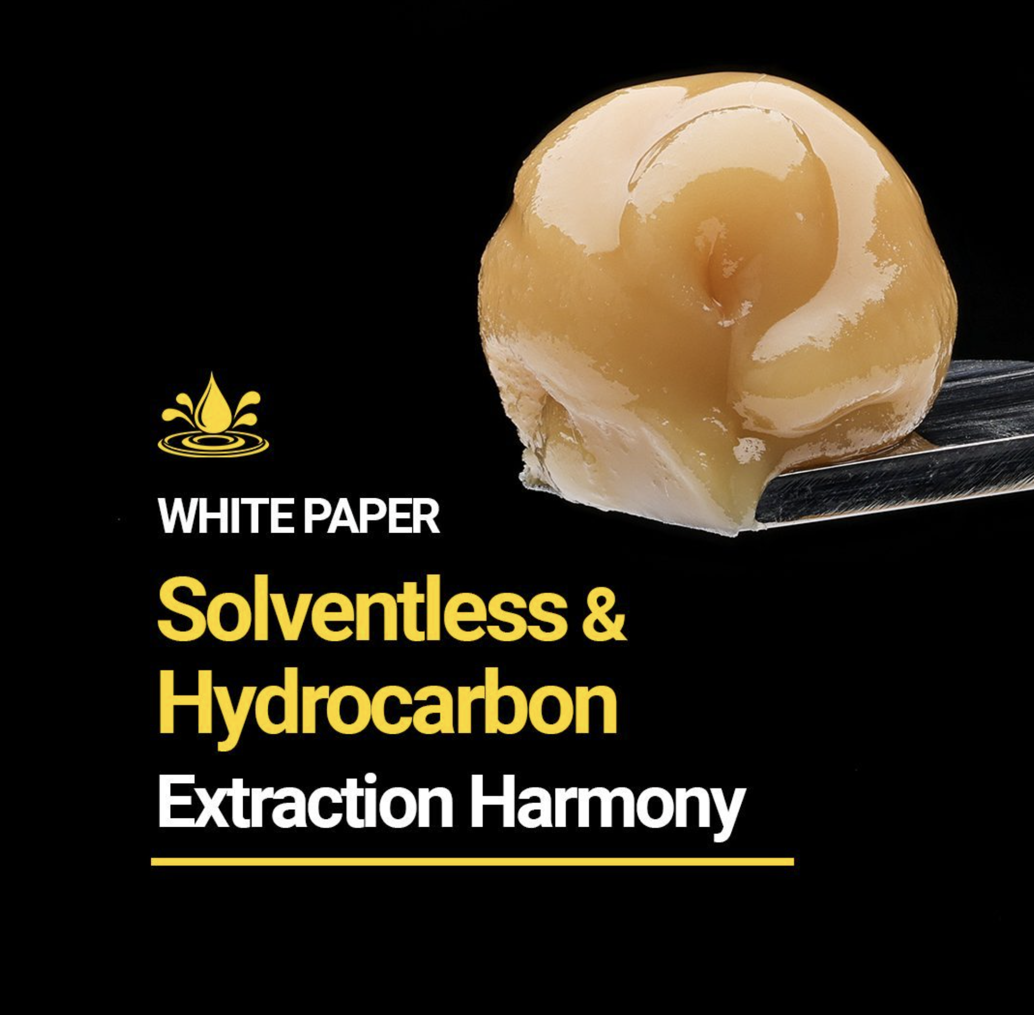 Screen Shot 2024-10-22 at 11.26.45 AM.png