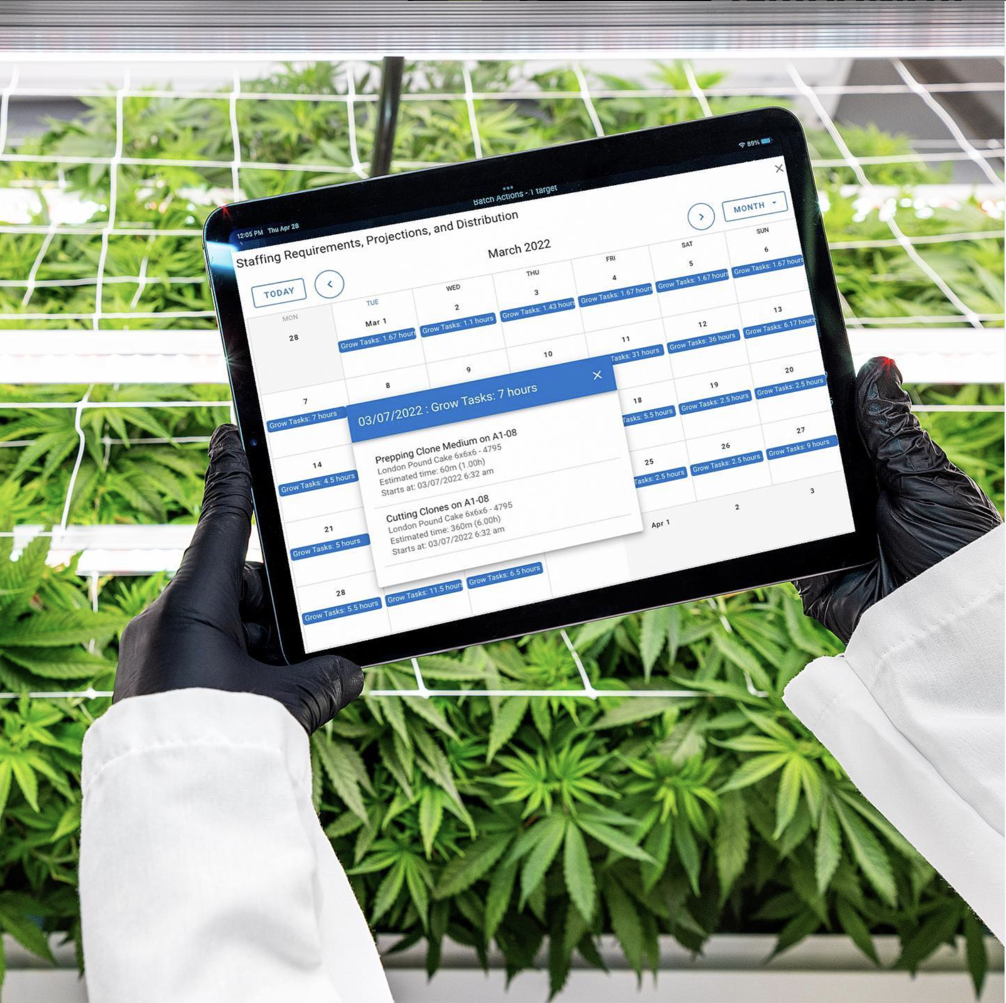 Screen Shot 2024-10-22 at 10.39.49 AM.png