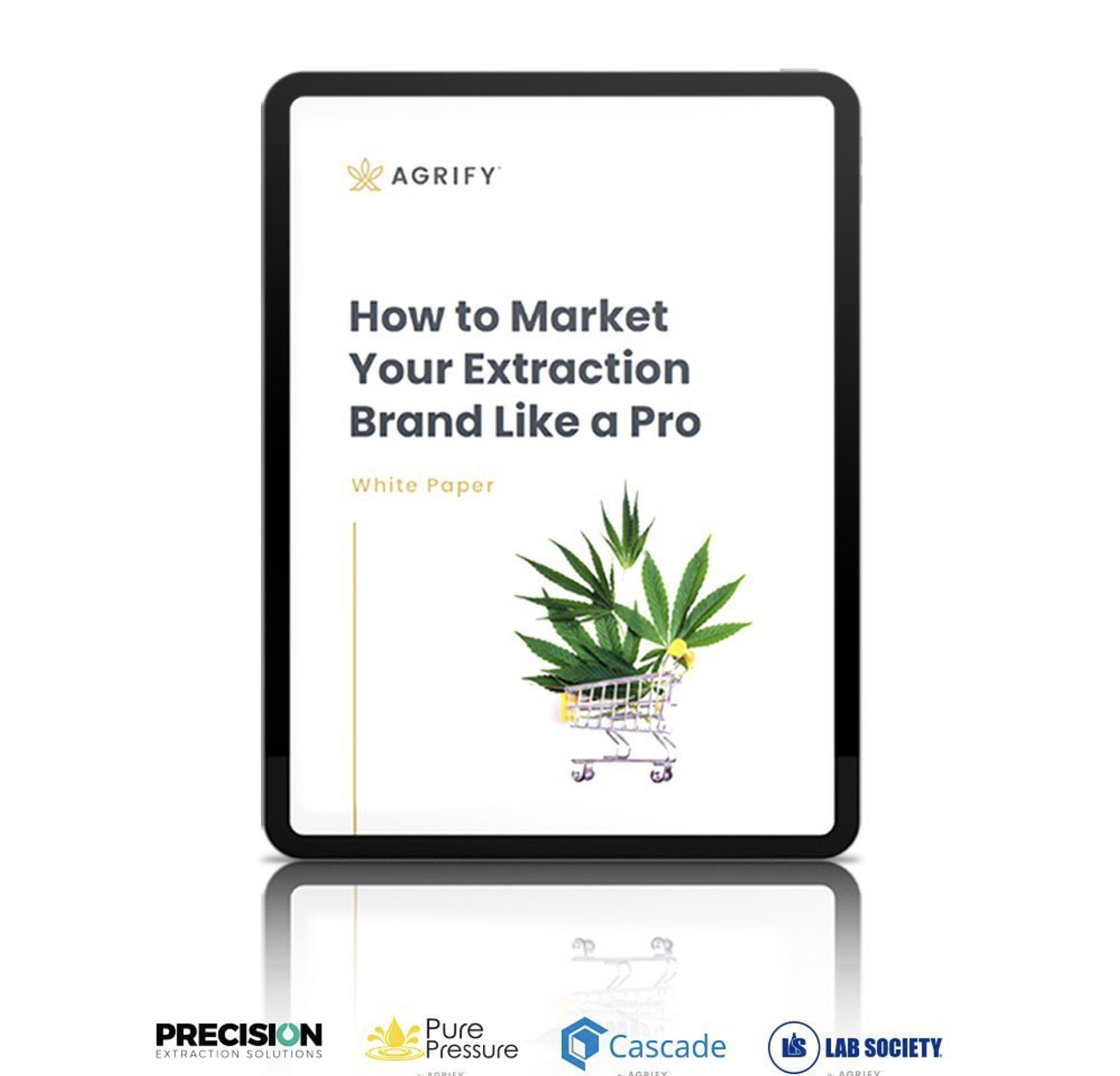 Screen Shot 2024-10-22 at 10.34.33 AM.png