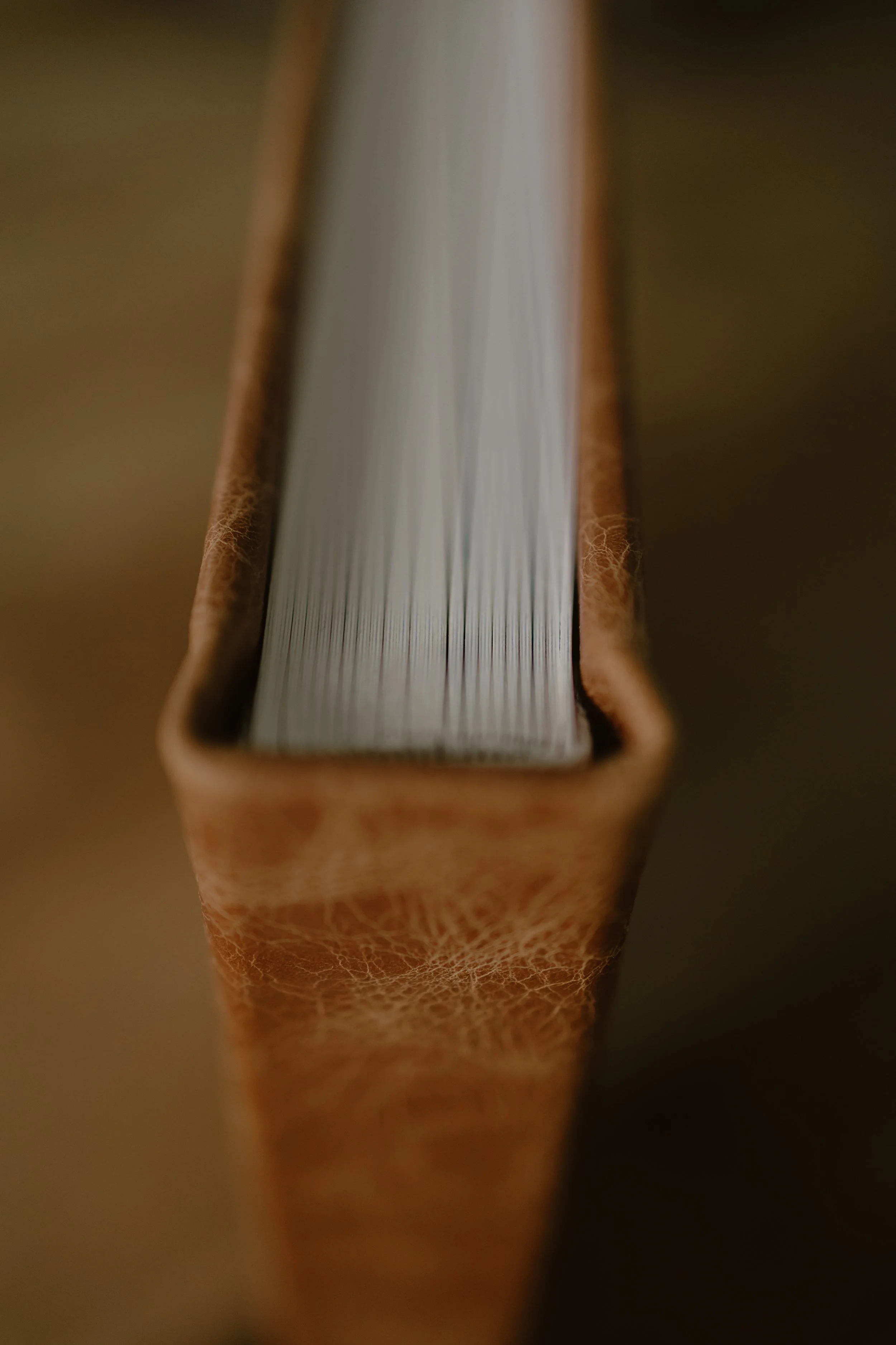 1S1A8848.jpg