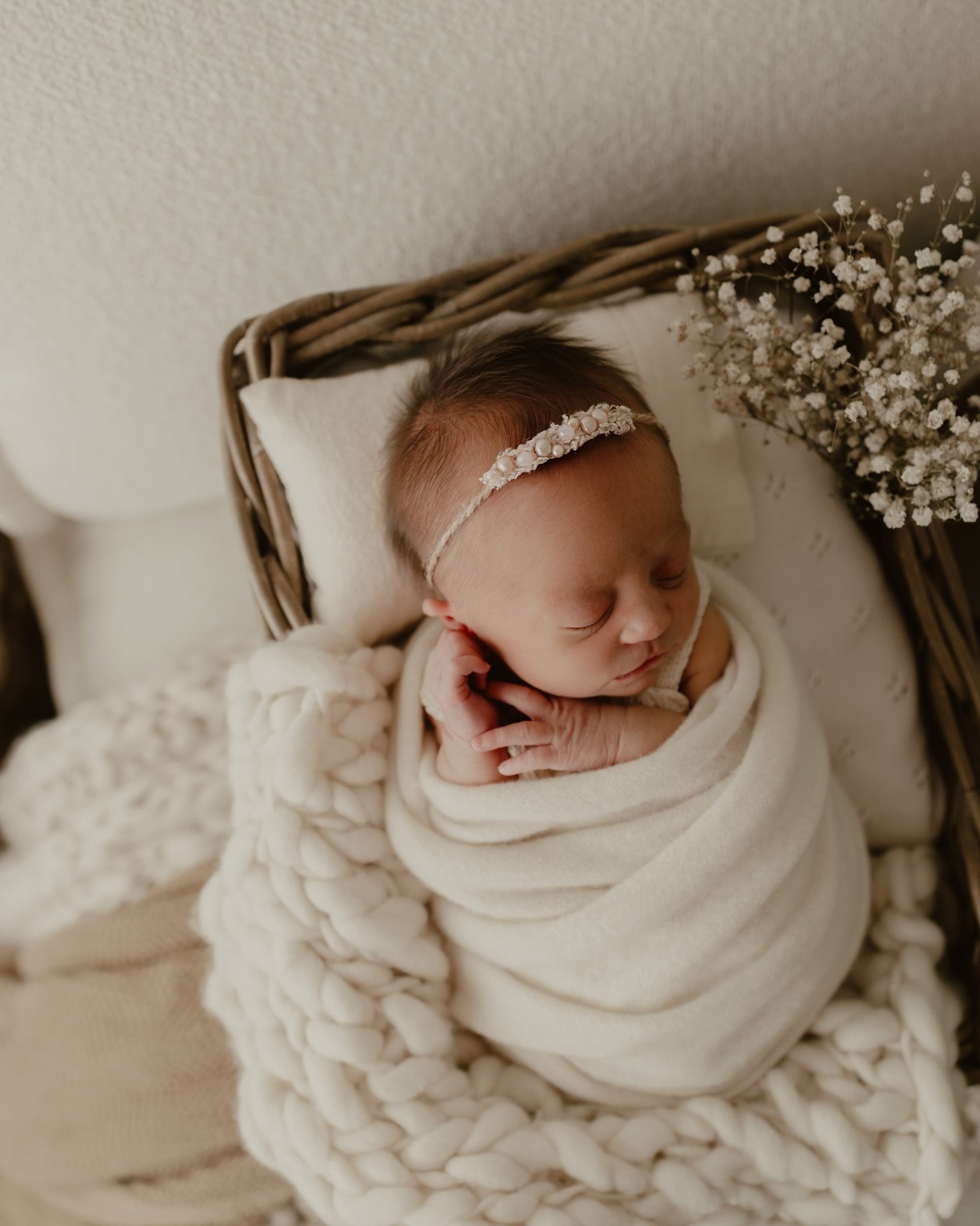 #newbornphotography #townsvillenewbornphotographer #townsvillephotographer