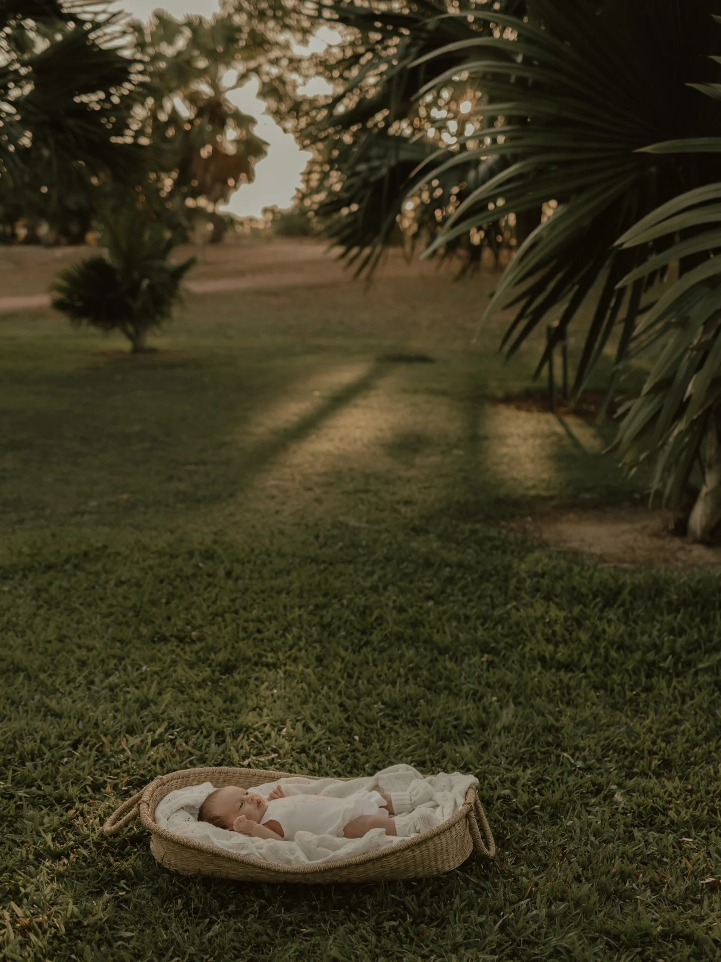 Mother&rsquo;s Day minis are happening next week and I&rsquo;m so excited to capture these special moments ❤️.
I feel so grateful for the trust these beautiful families place in me. Helping you celebrate the love you share with your little ones is su