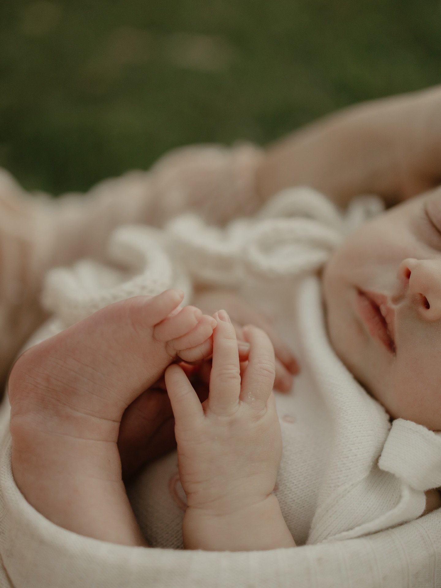 The tiniest fingers, the softest cheeks&hellip;
it&rsquo;s all in the little details ❤️. #townsville #townsvillephotographer #townsvillefamilyphotographer #newbornphotography #newbornphotographer