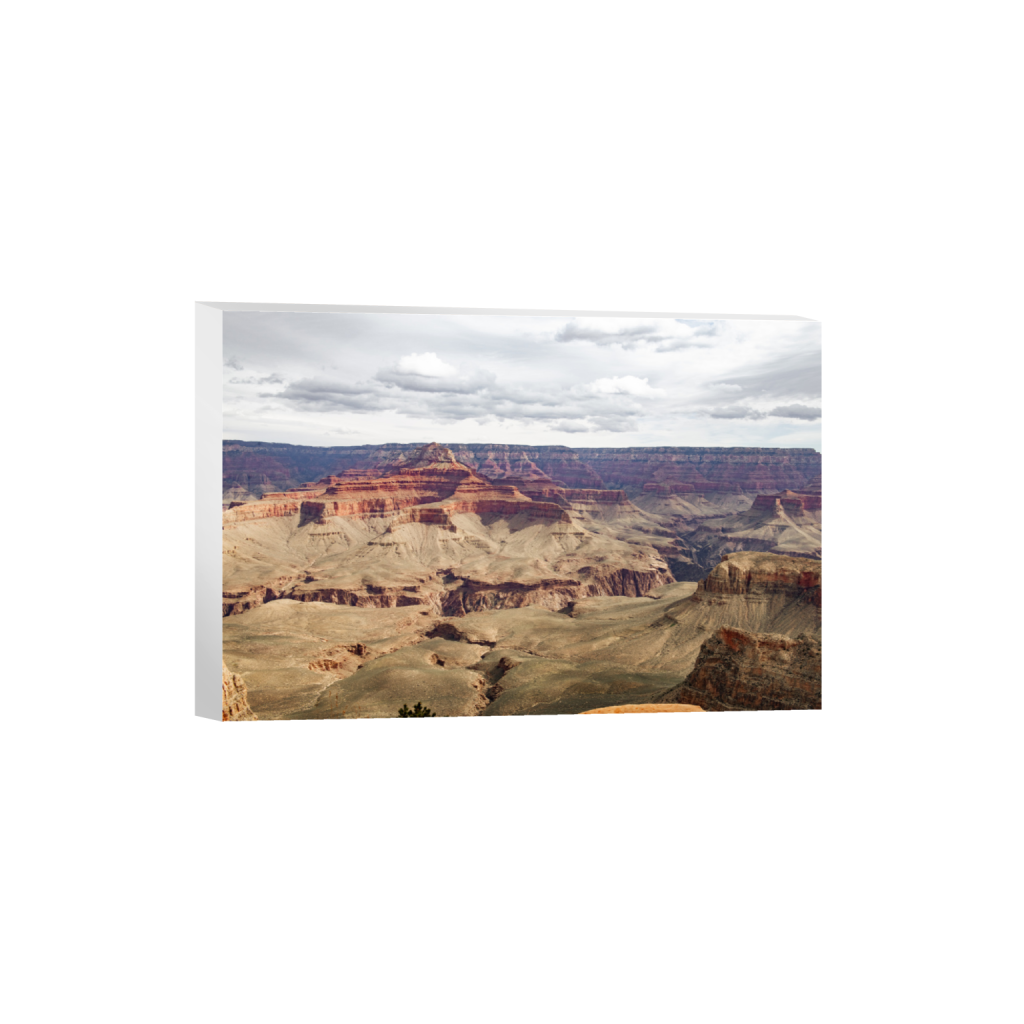 ptq_7_3_0_0_8256_5504_0_false_ffffff_0_0_.png